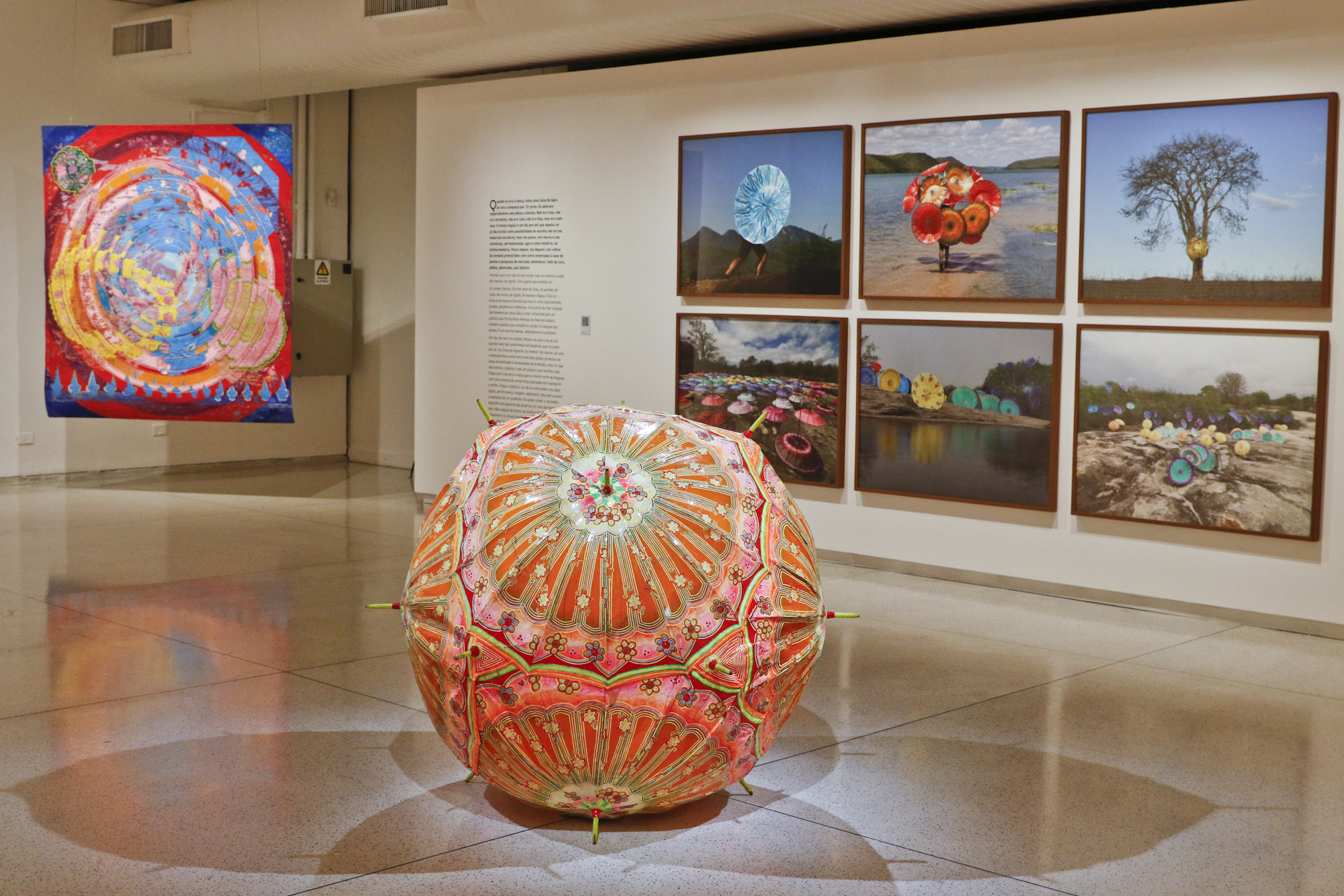 Arte para Maiores: MON realiza videoconferência com o artista Delson Uchôa