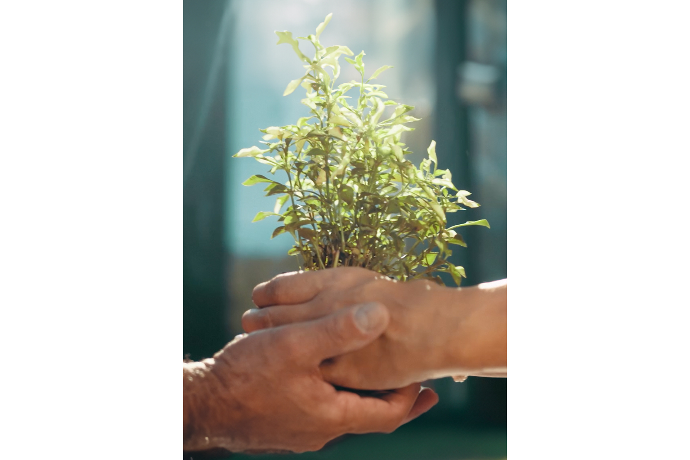 BRDE lança filme Banco Verde com participação dos colaboradores