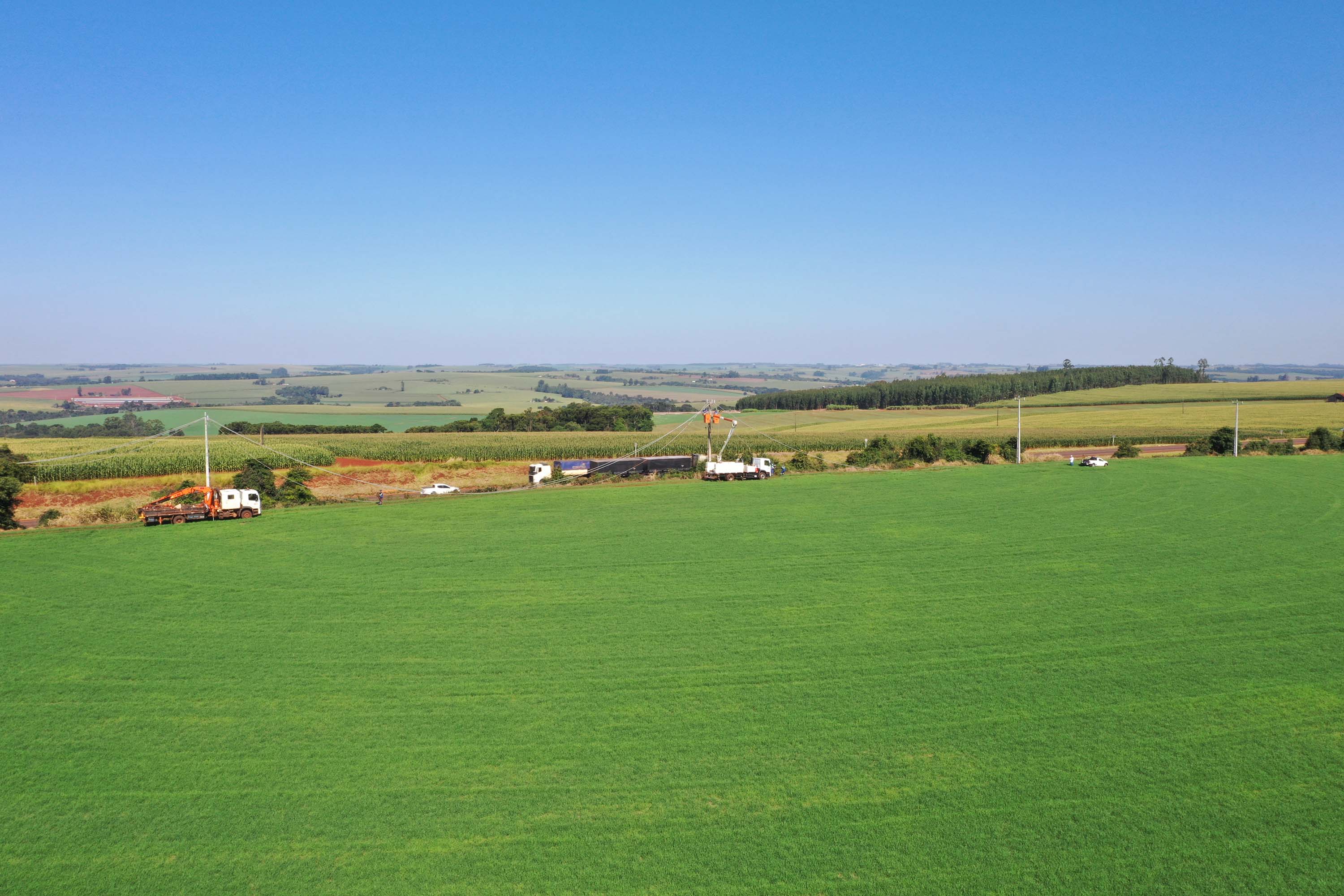 Paraná Trifásico entrega 12,5 mil km de novas redes e alcança 50% do programado