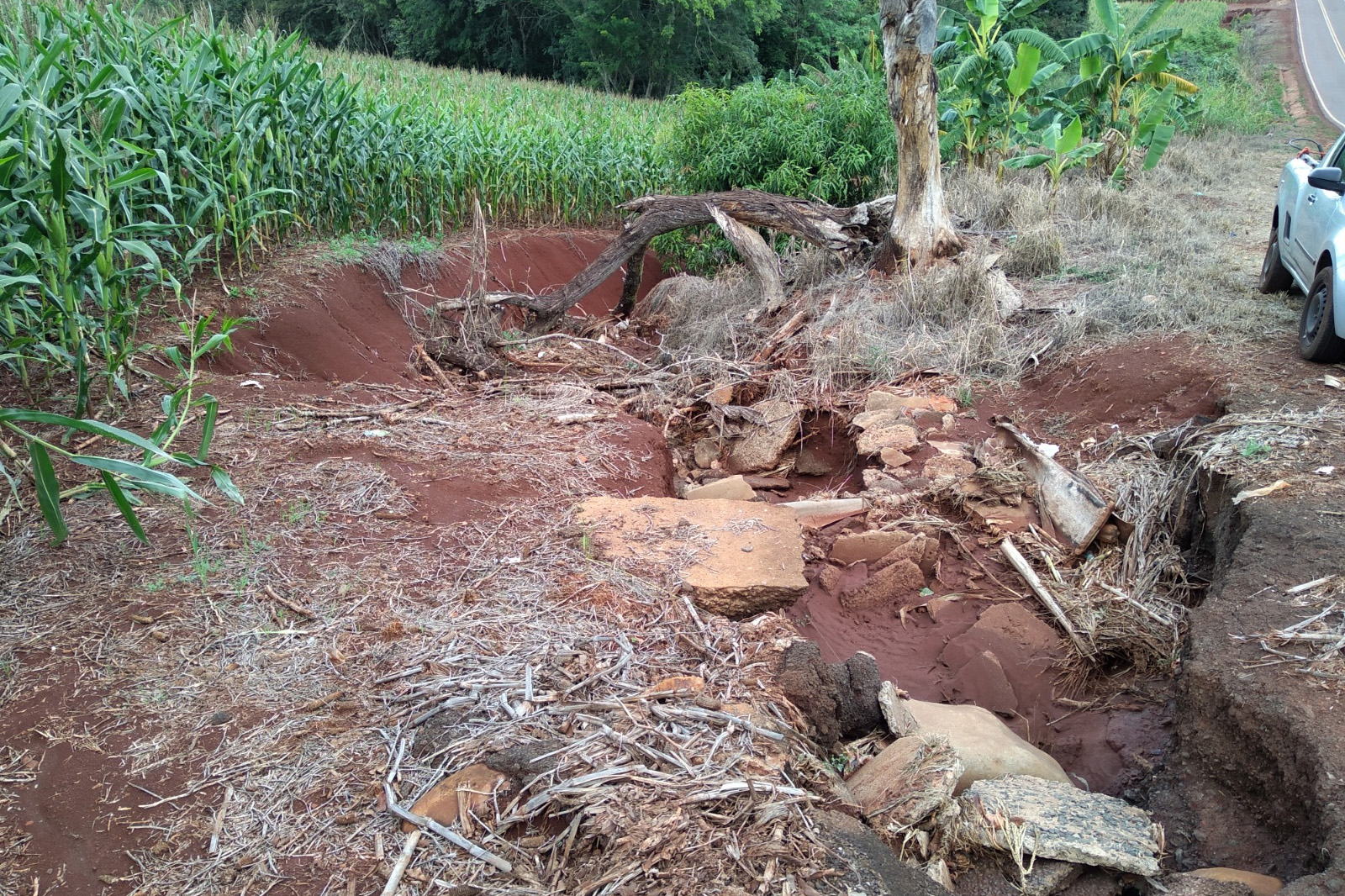 Recuperação erosão PR-551