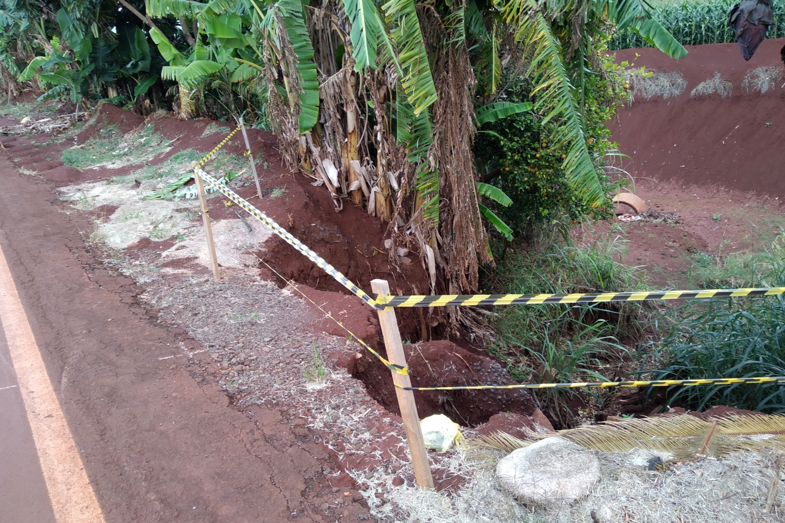 Recuperação erosão PR-551