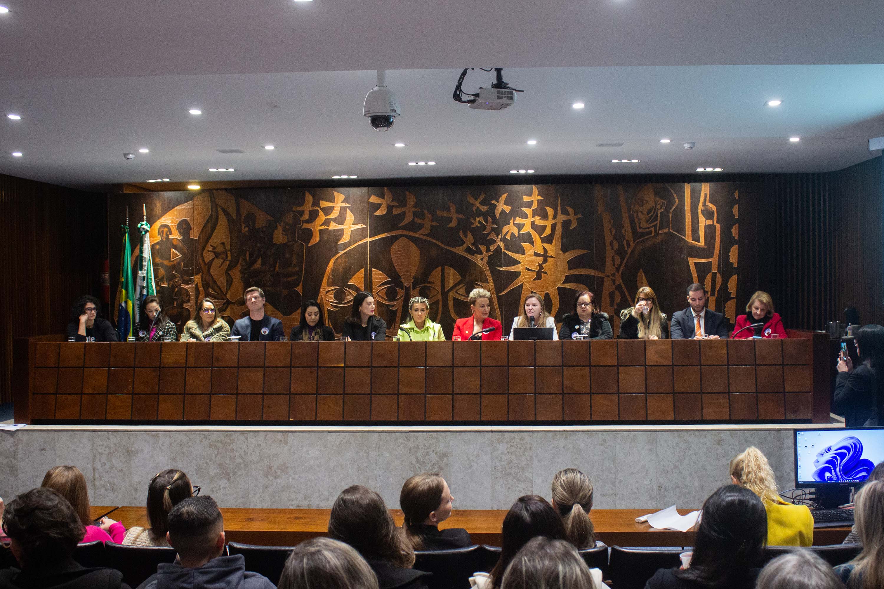 COMBATE AO FEMINICÍDIO