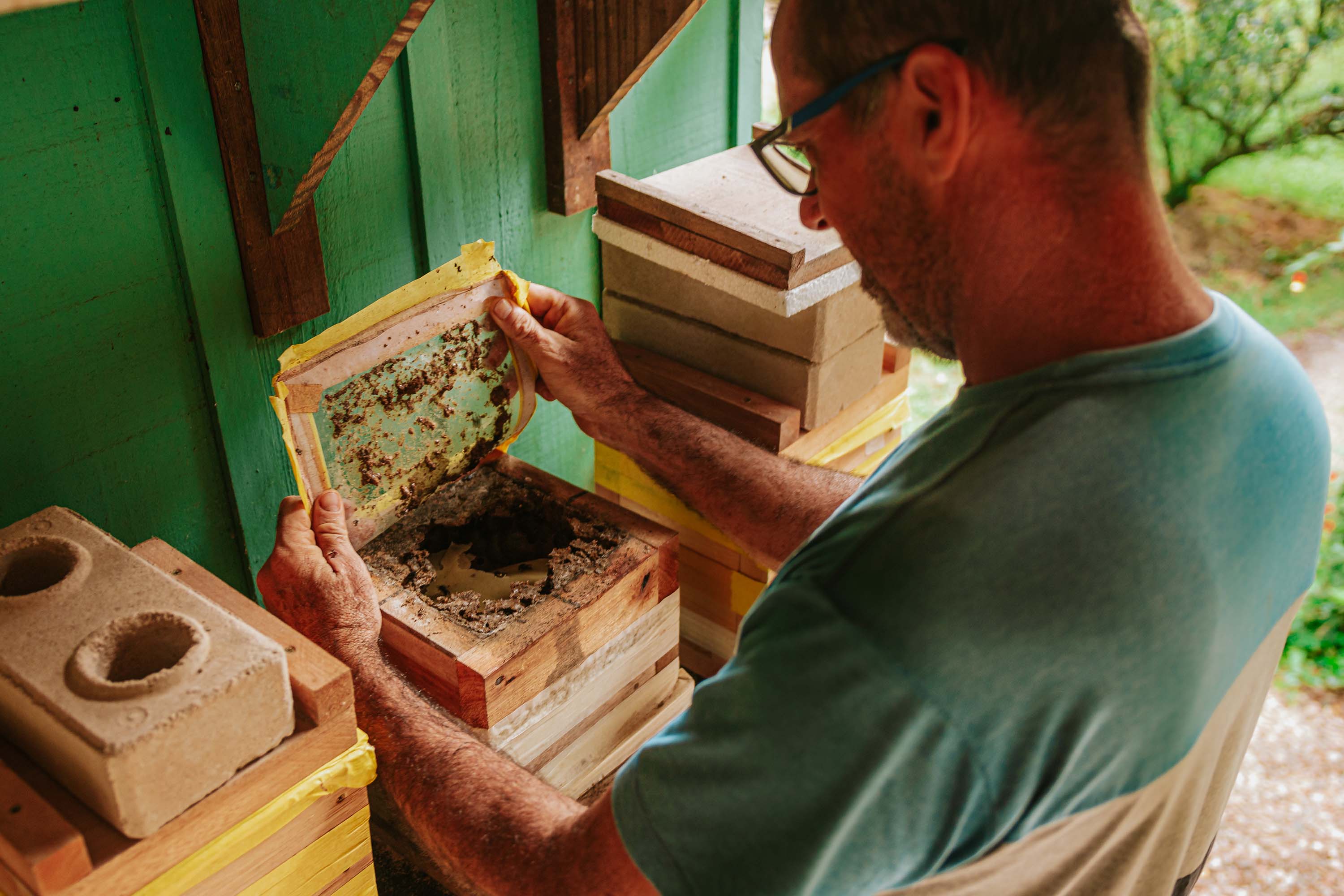 O produtor Erich de Barros Lange participou da capacitação realizada pelo Tecpar e já instalou caixas de abelhas na sua chácara em Morretes.