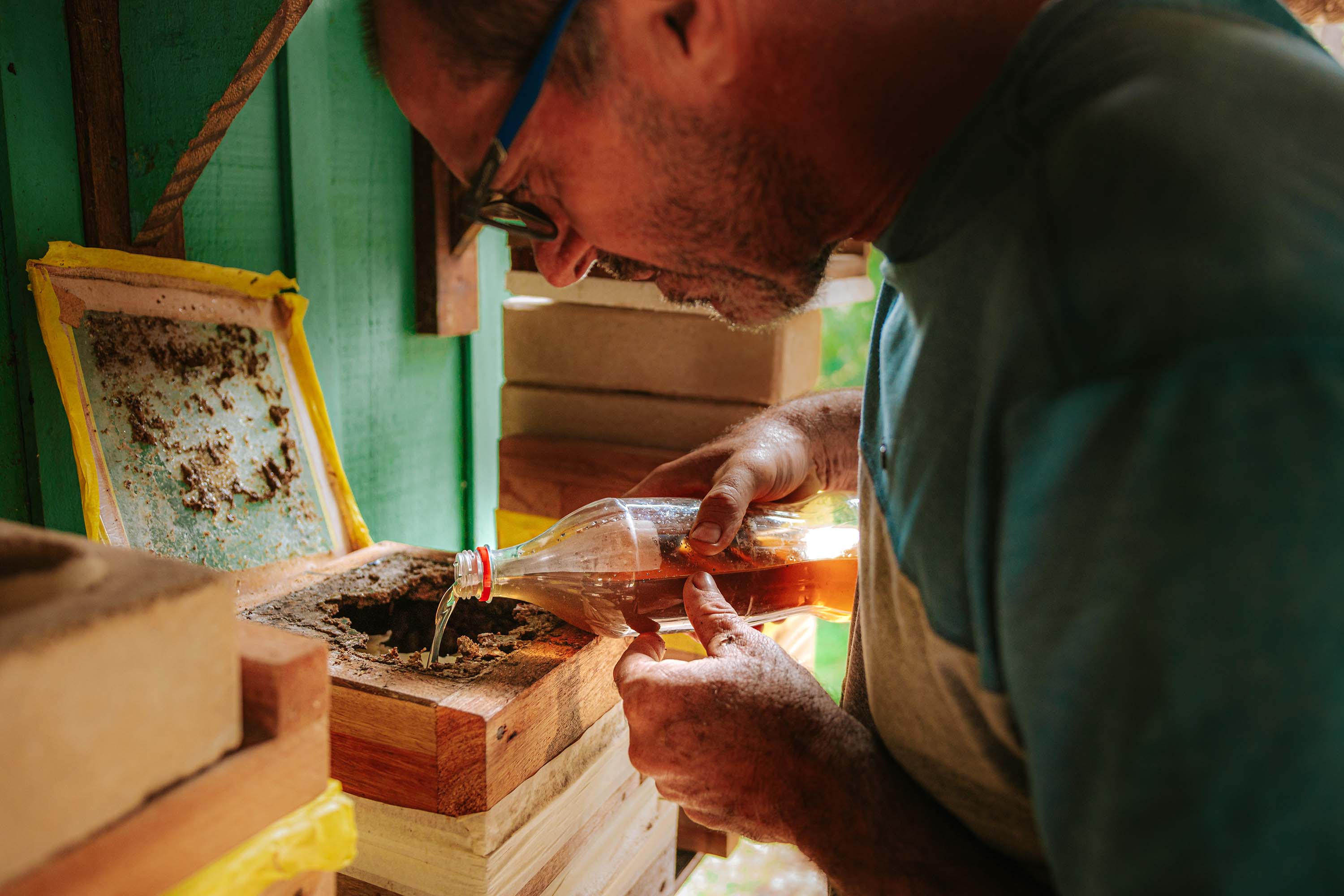 O produtor Erich de Barros Lange participou da capacitação realizada pelo Tecpar e já instalou caixas de abelhas na sua chácara em Morretes.