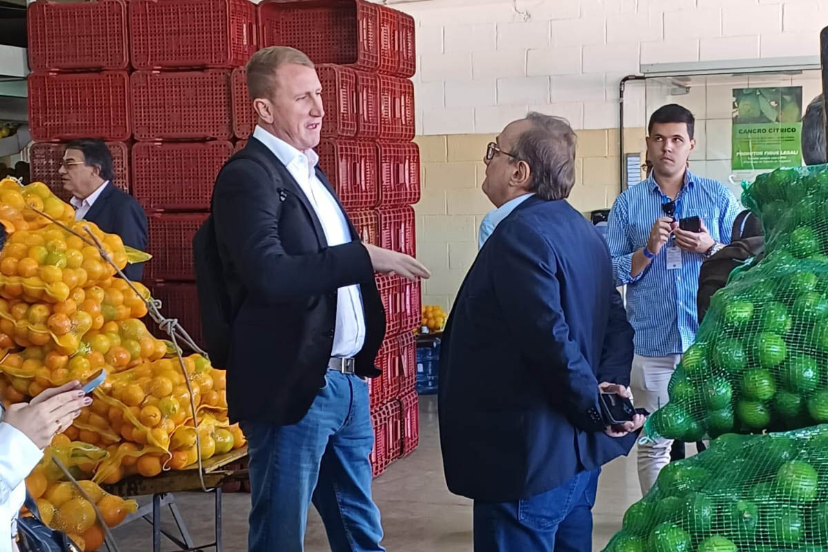 FAO e Ceasas vão firmar cooperação para desenvolver abastecimento