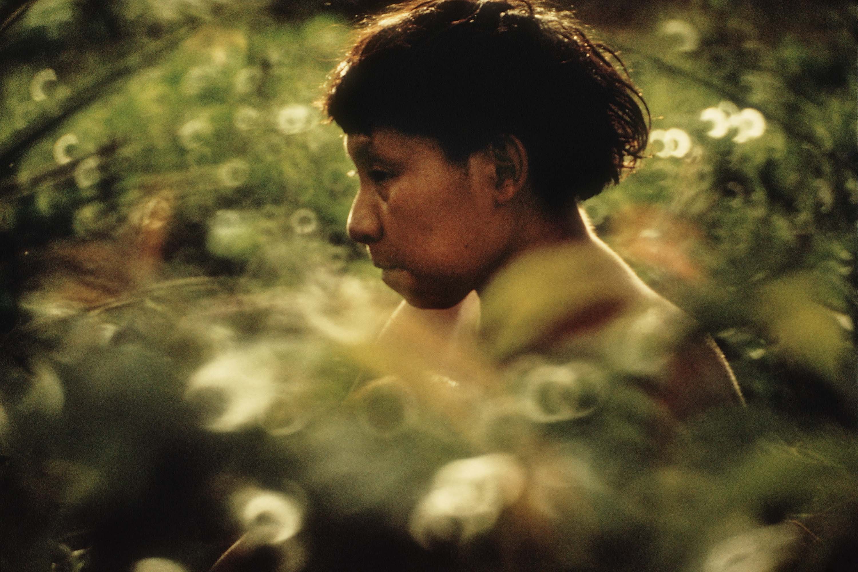 Nova mostra no Museu Paranaense