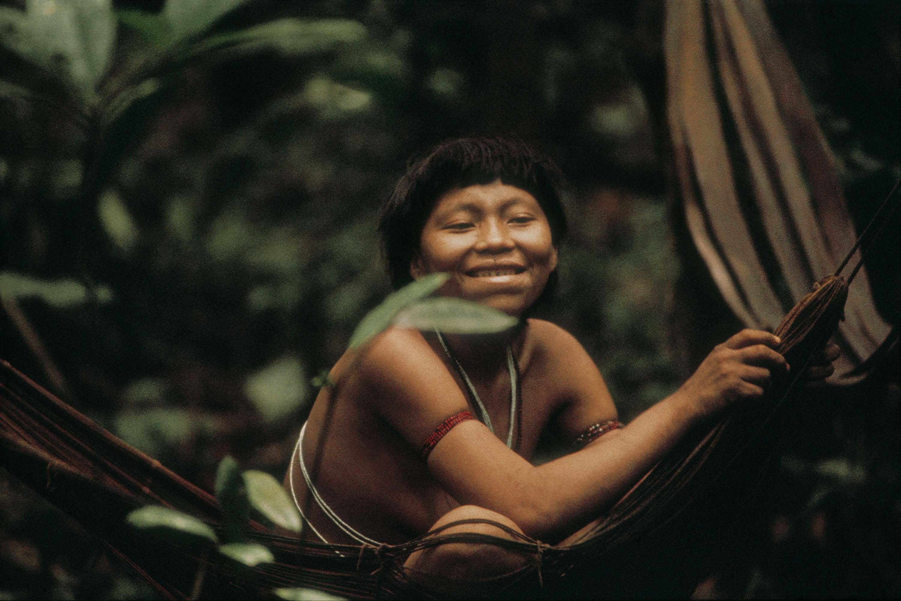 Nova mostra no Museu Paranaense