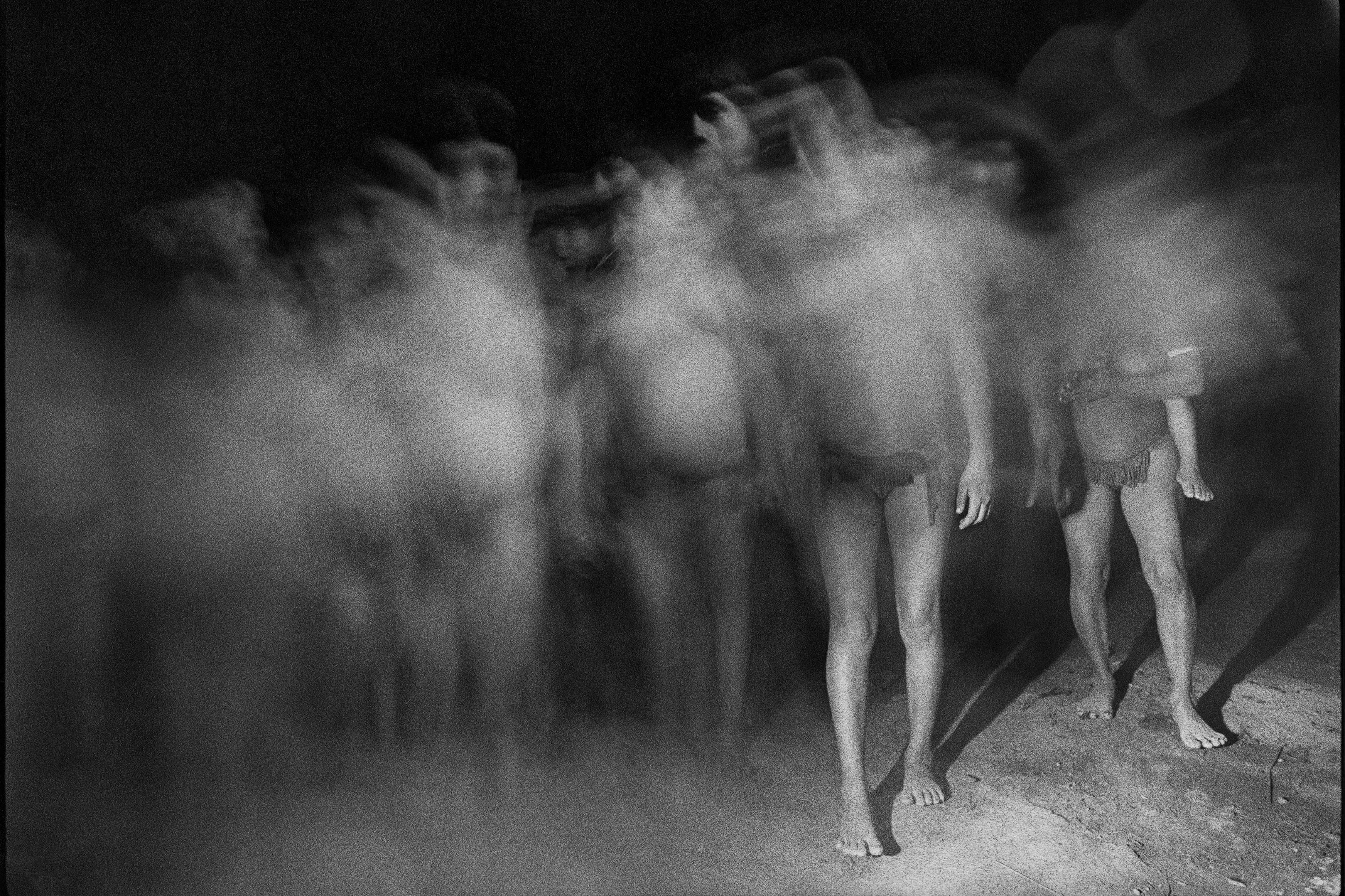 Nova mostra no Museu Paranaense