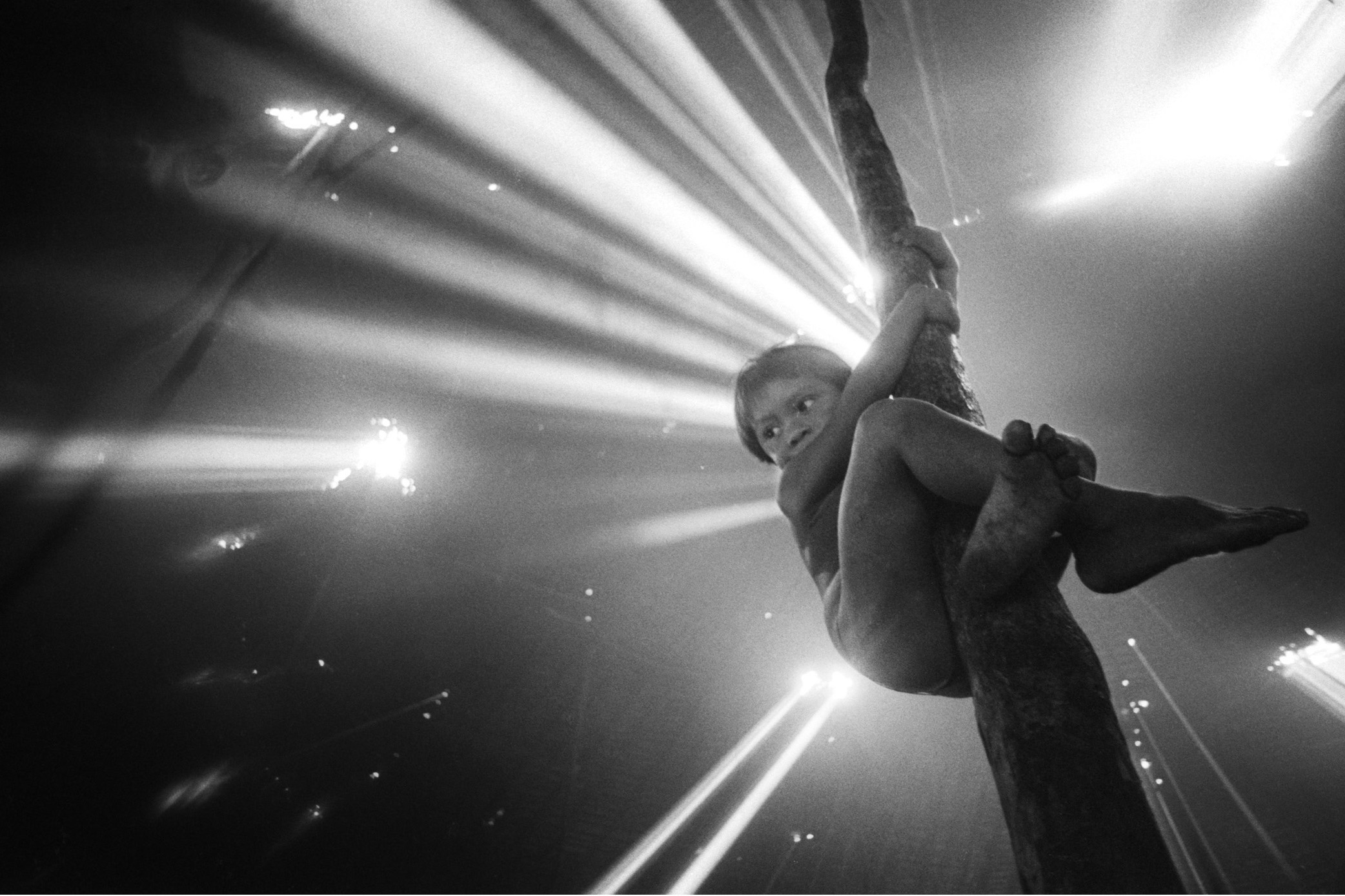 Nova mostra no Museu Paranaense