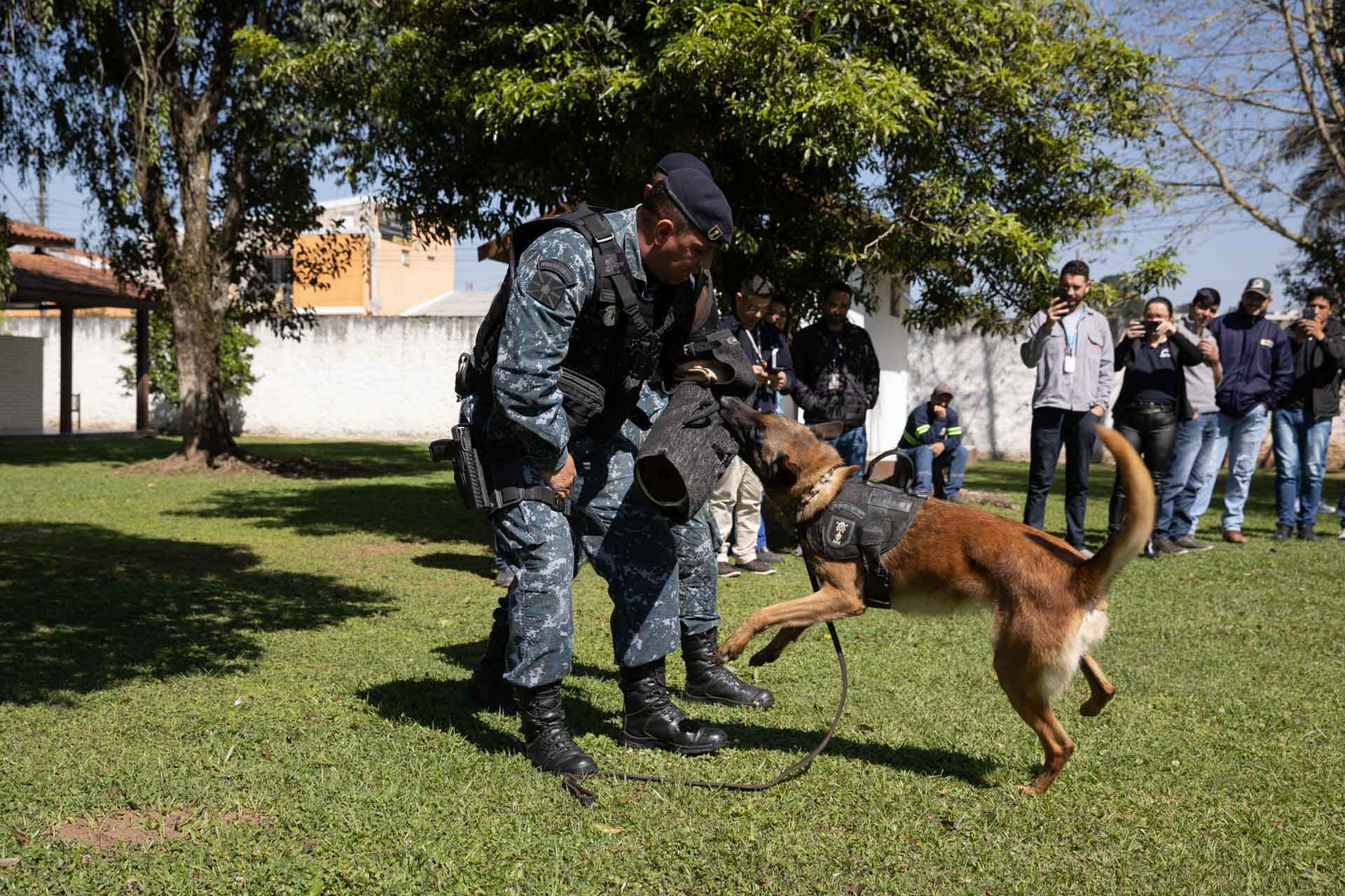 Ataque de cães é principal causa de acidente de trabalho dos leituristas da Sanepar