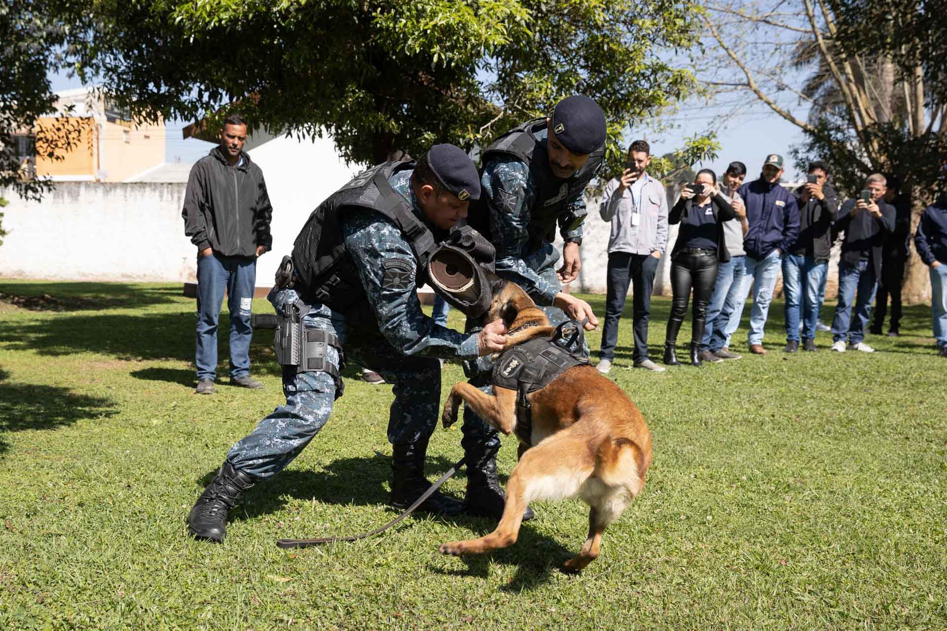 Ataque de cães é principal causa de acidente de trabalho dos leituristas da Sanepar