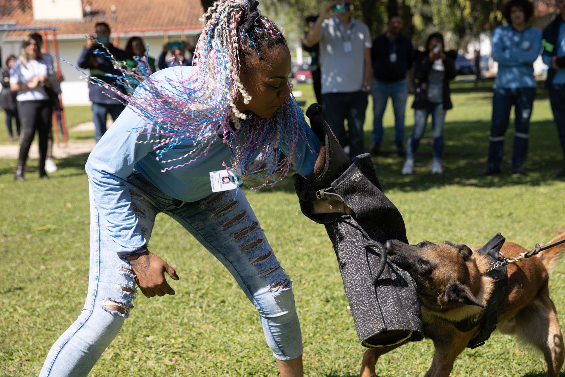 Ataque de cães é principal causa de acidente de trabalho dos leituristas da Sanepar