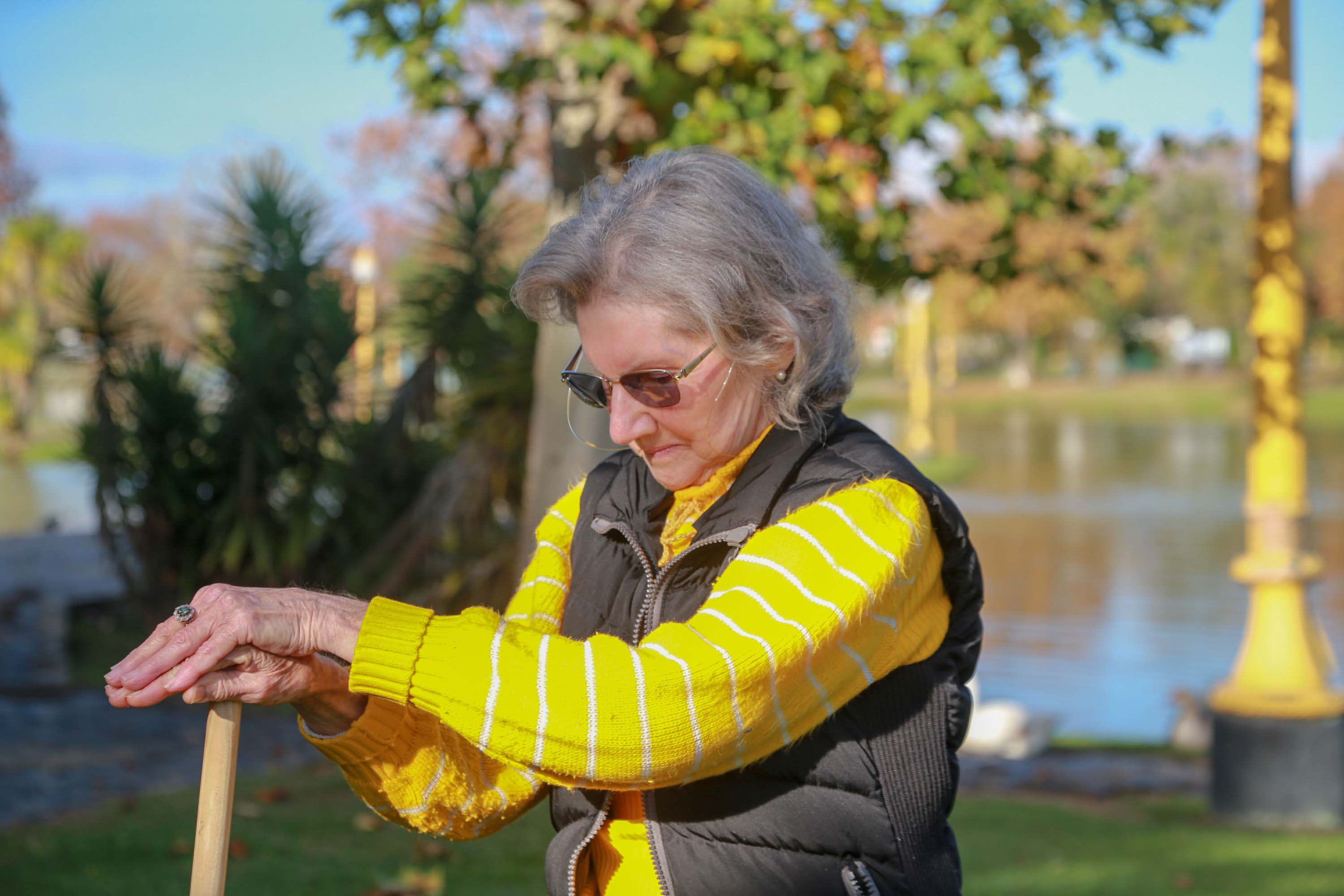 SAÚDE PERFIL POPULAÇÃO COM MAIS DE 60 ANOS