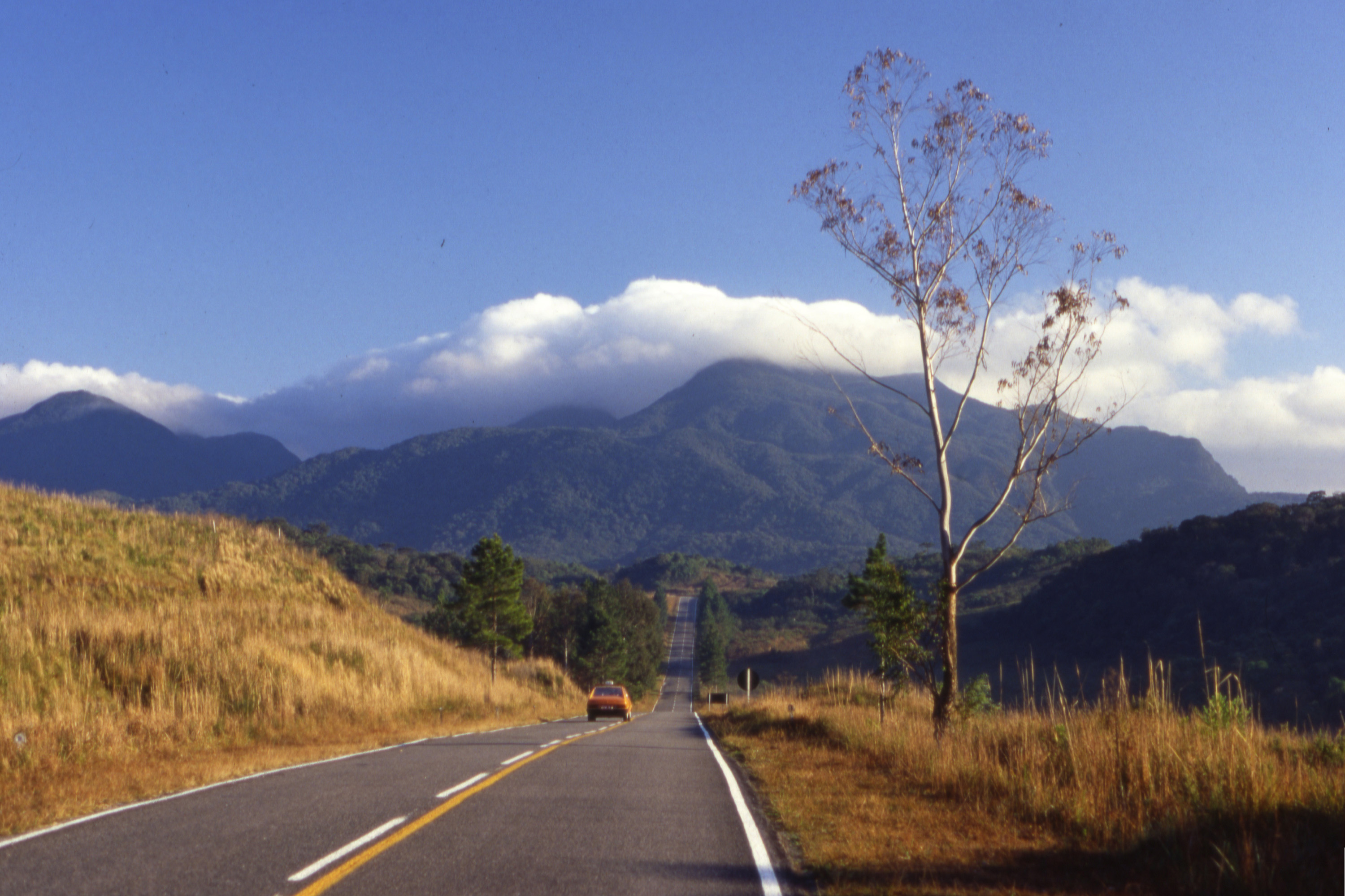 Estado abre inscrições para 1º Seminário Paranaense do Patrimônio Cultural