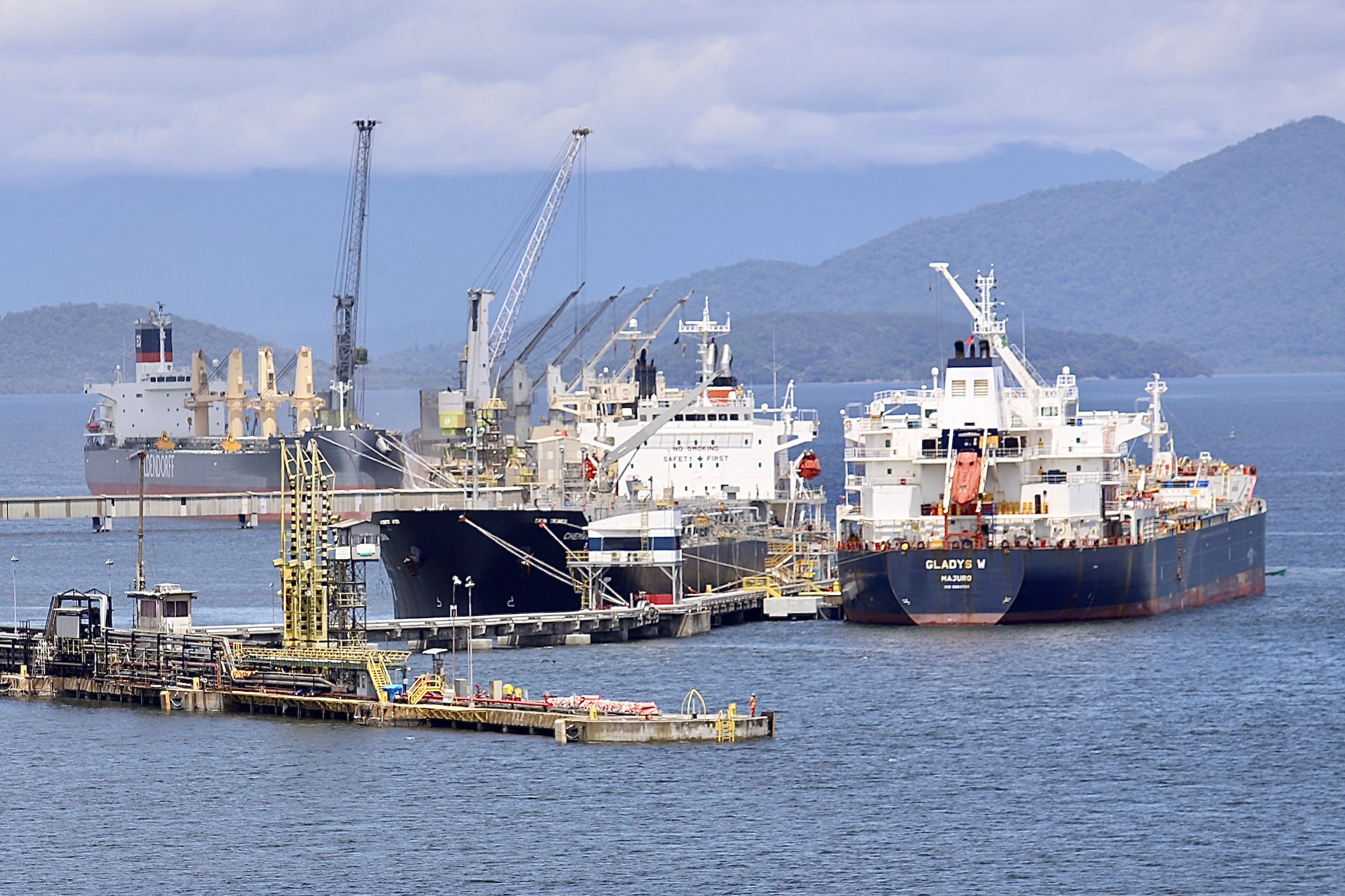 Complexo soja movimenta US$ 34 milhões por dia no Porto de Paranaguá