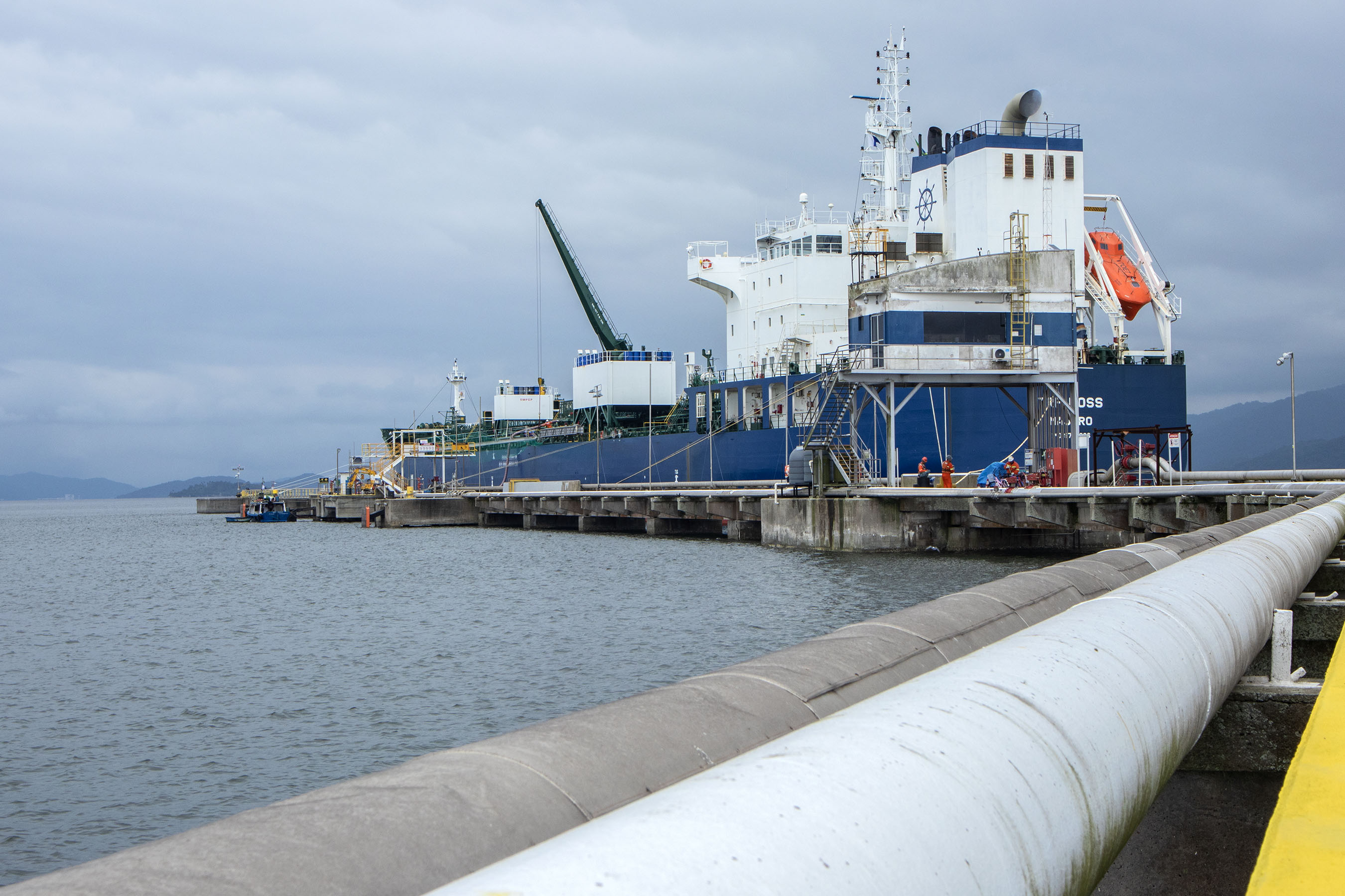 Complexo soja movimenta US$ 34 milhões por dia no Porto de Paranaguá
