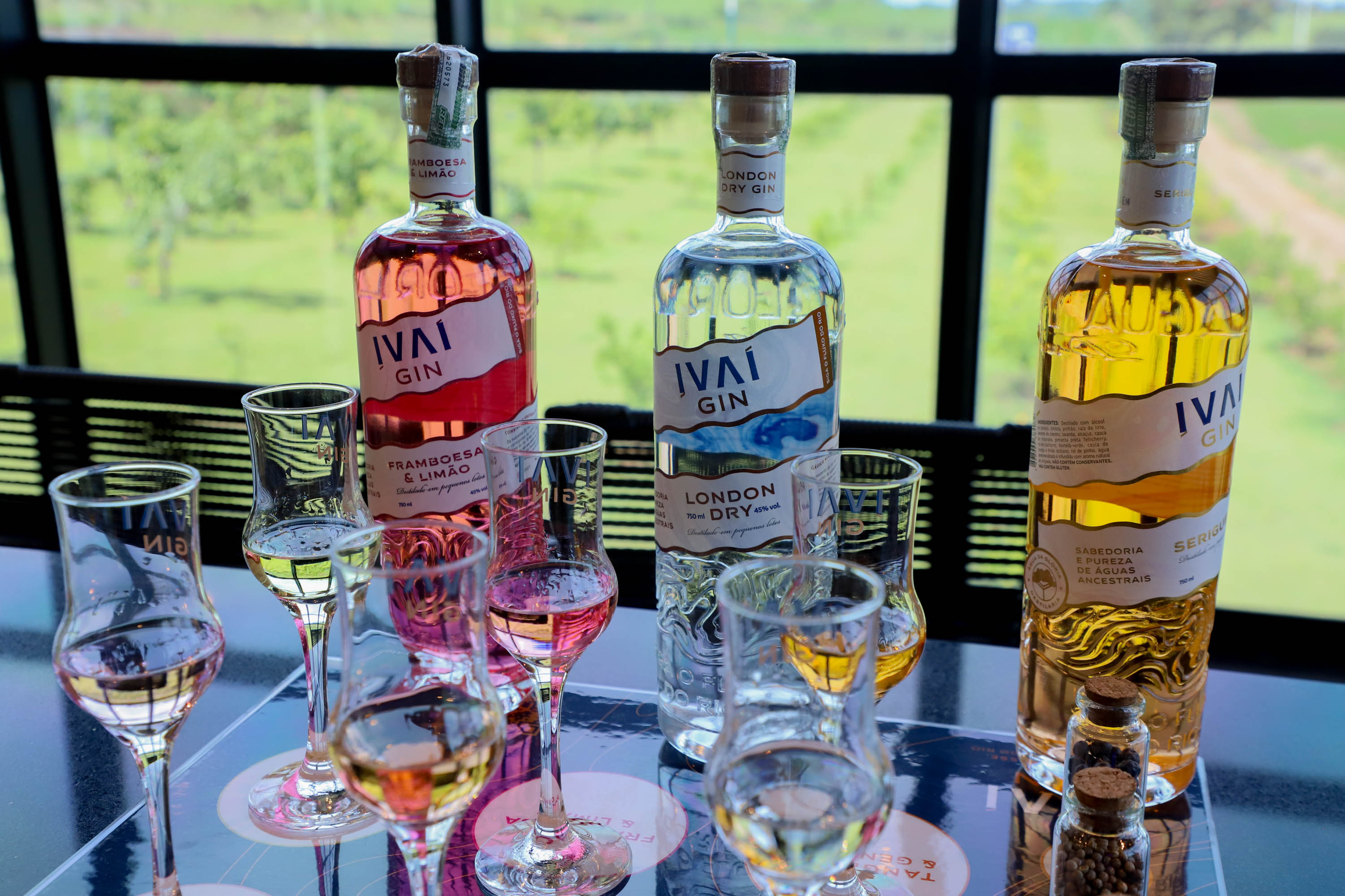 No Paraná, é possível brindar com bebidas de destaque internacional produzidas aqui mesmo.