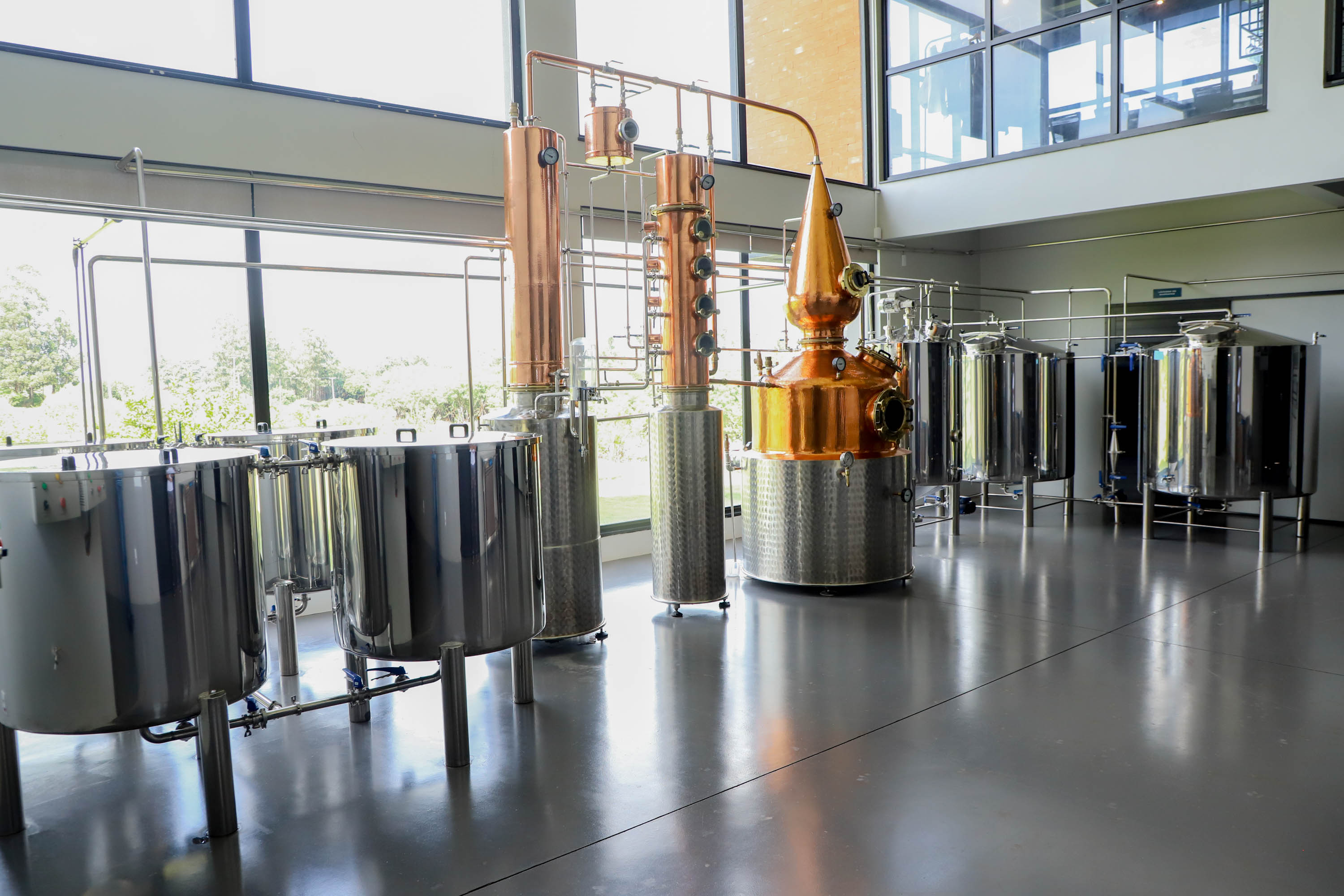 No Paraná, é possível brindar com bebidas de destaque internacional produzidas aqui mesmo.