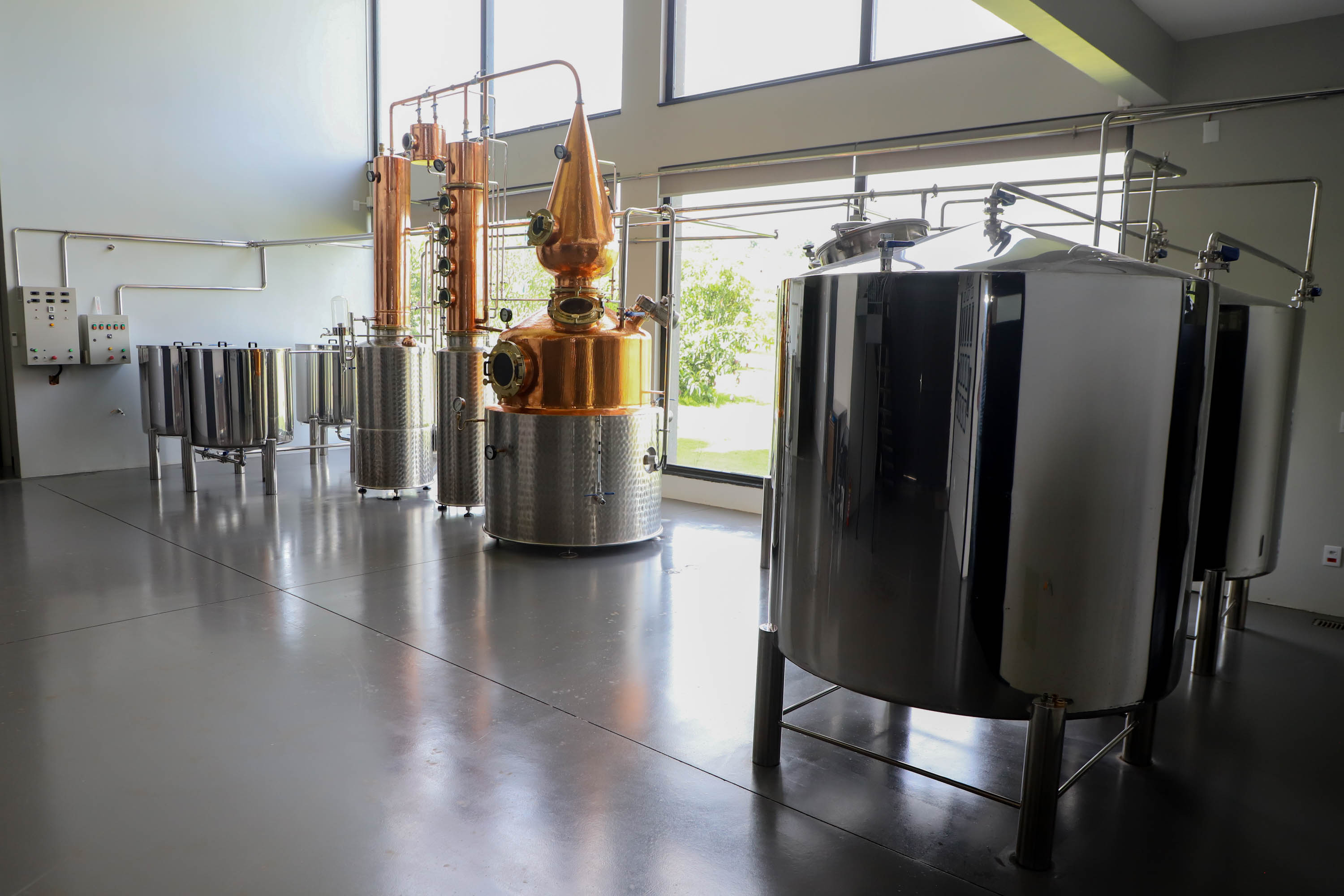 No Paraná, é possível brindar com bebidas de destaque internacional produzidas aqui mesmo.