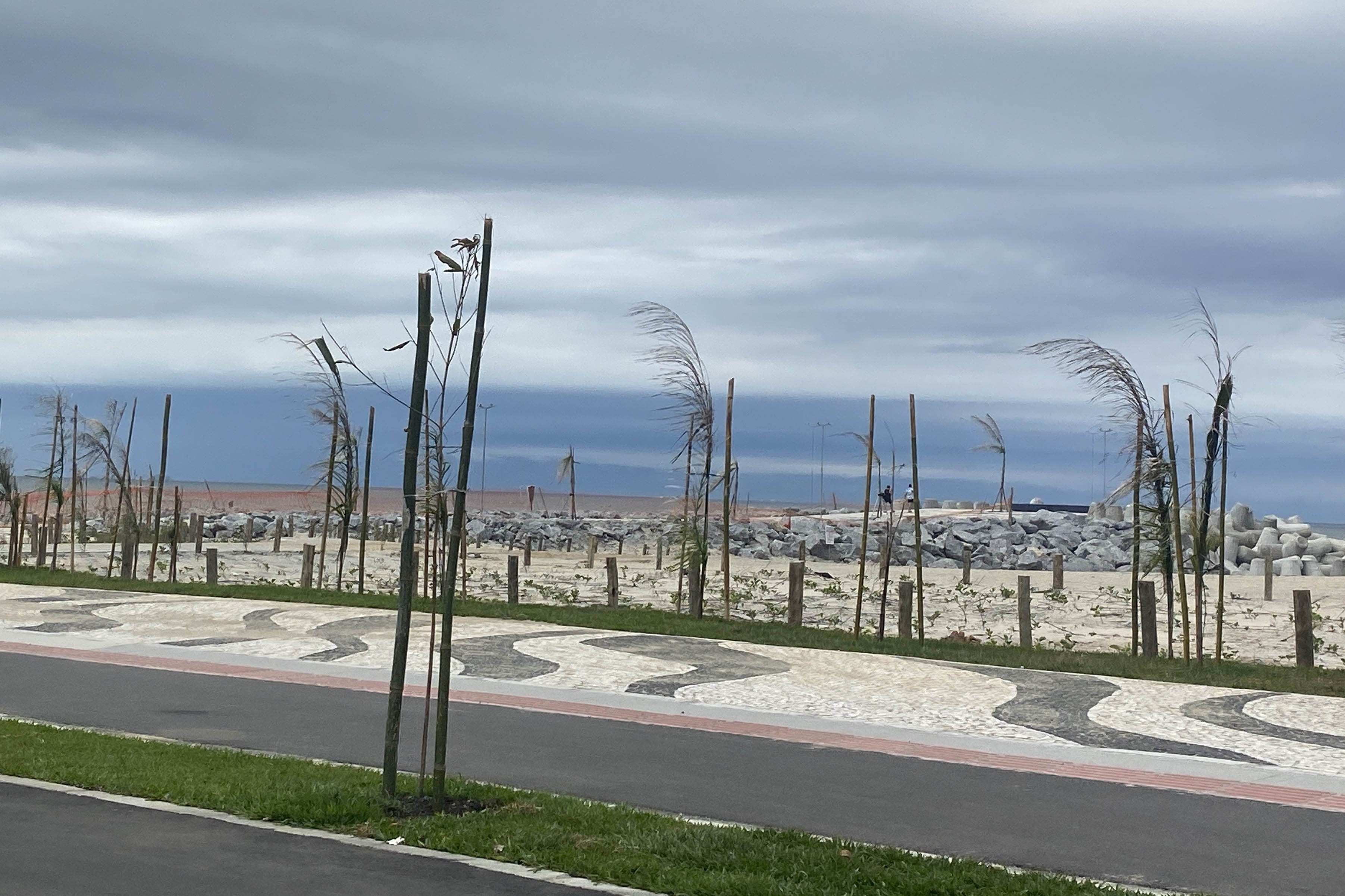 Manacá e o jerivás: nova orla de Matinhos ganha 3,6 mil árvores.