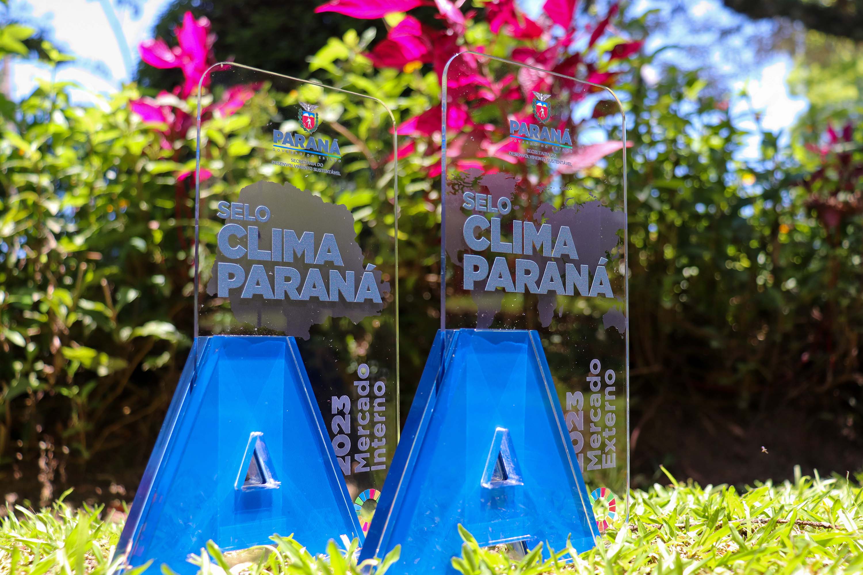 Paraná avança em programas de ação climática e se consolida como o estado mais sustentável do País