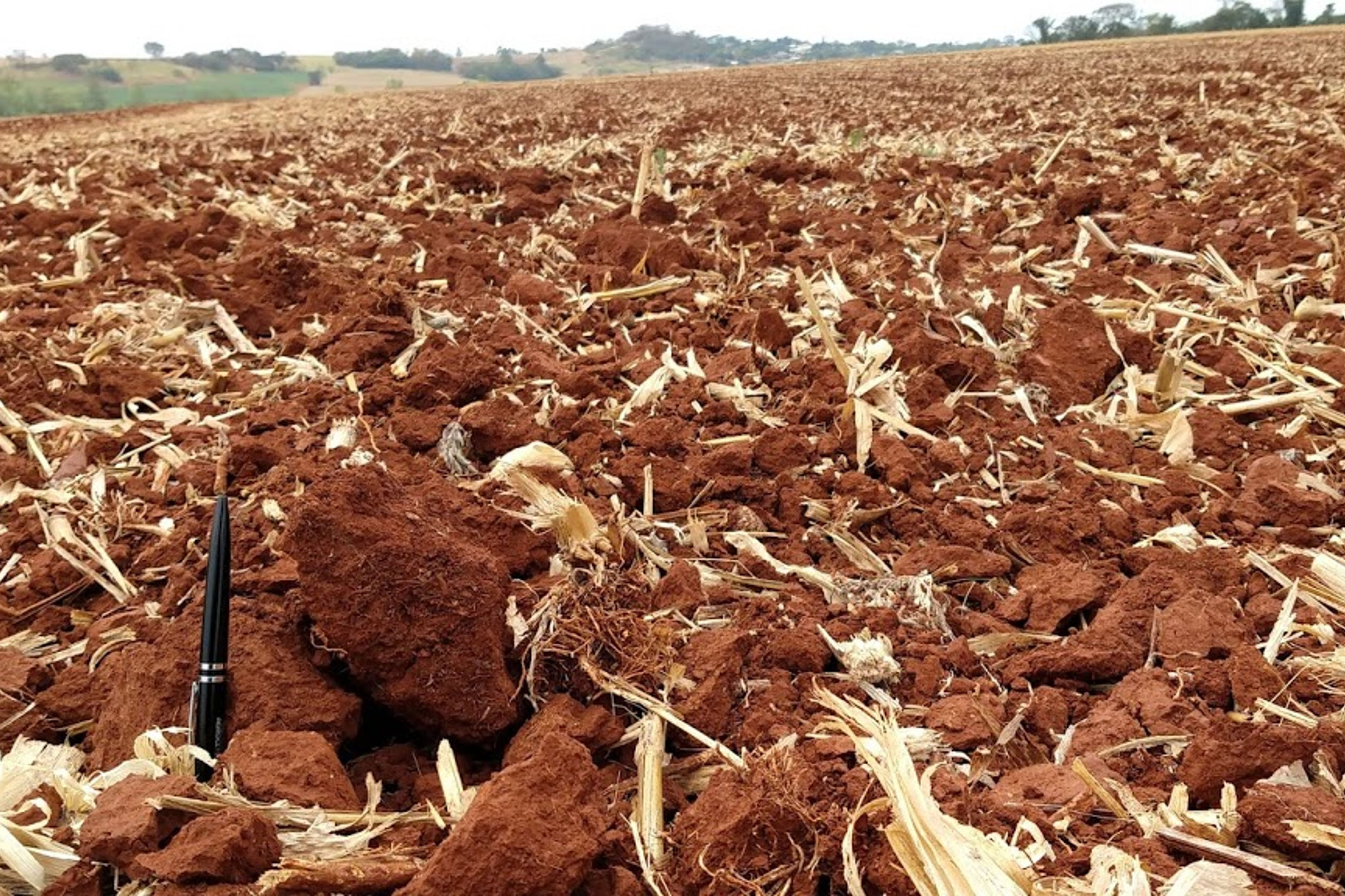 MANEJO SOLOS SHOW RURAL