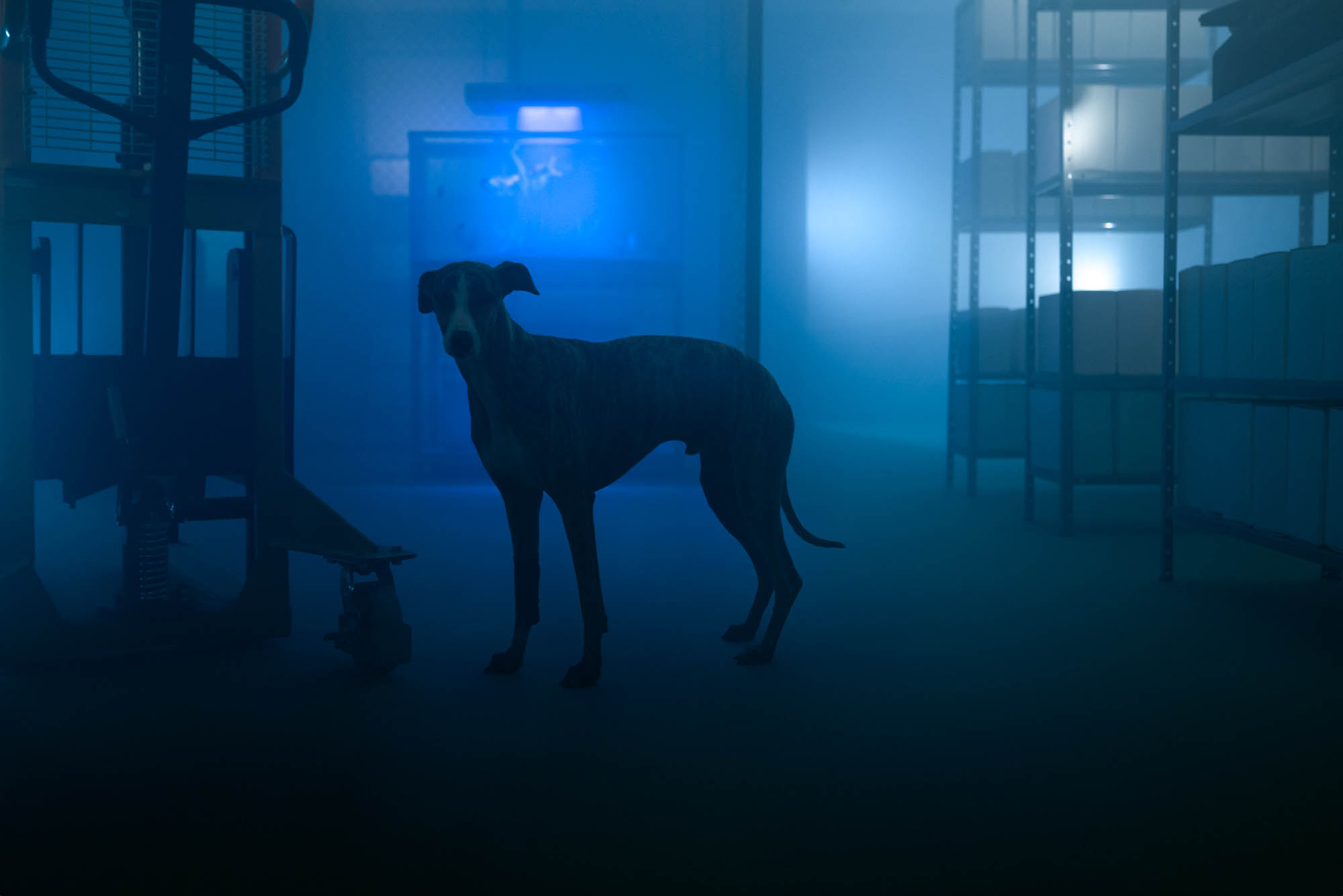 Campanha Interlúdio - IV Edital de Ocupação do Espaço Vitrine