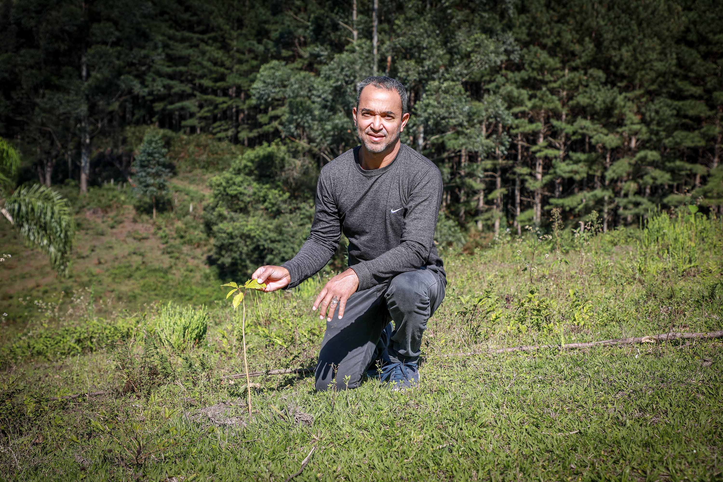 Prefeituras de 50 municípios já plantaram 86.930 mudas no programa Asfalto Novo, Vida Nova