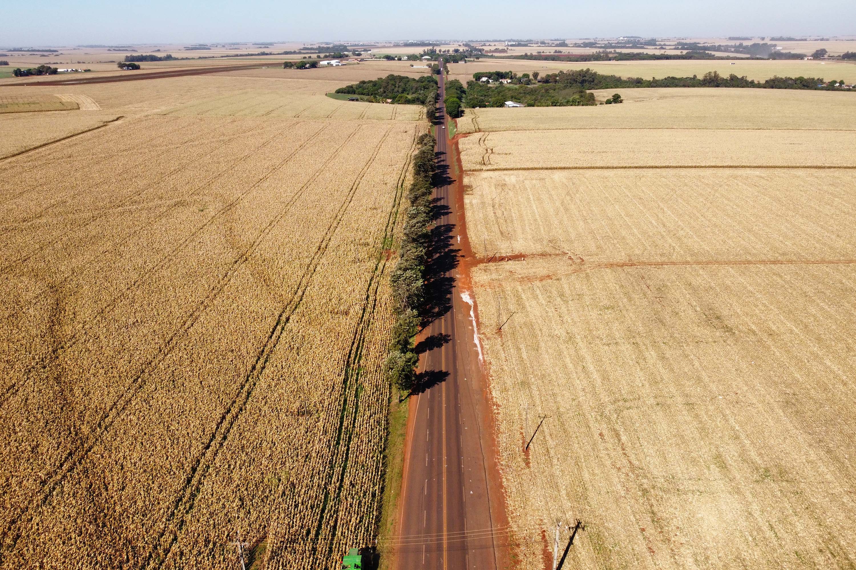 CONTORNO DE PALOTINA