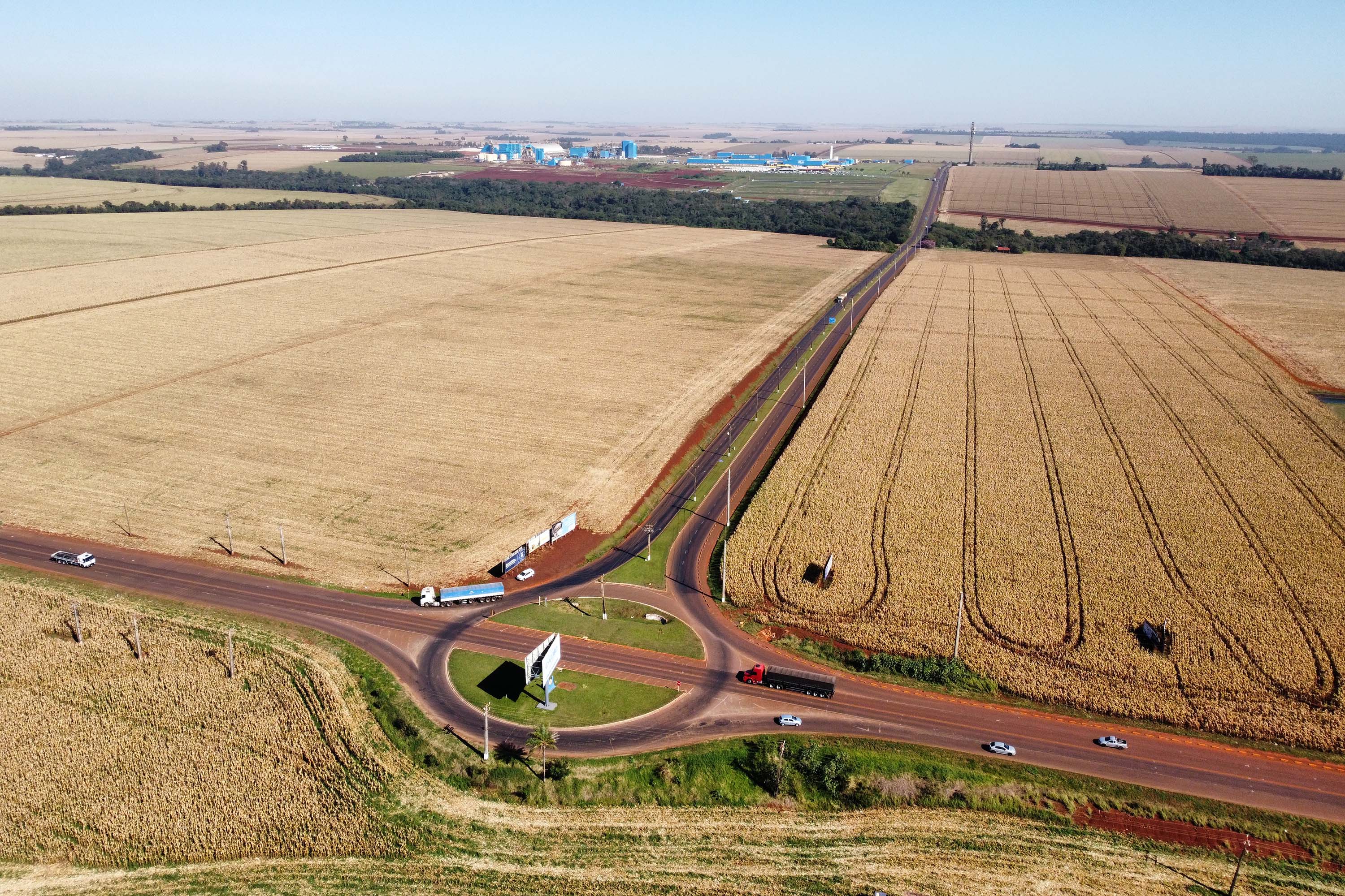 CONTORNO DE PALOTINA