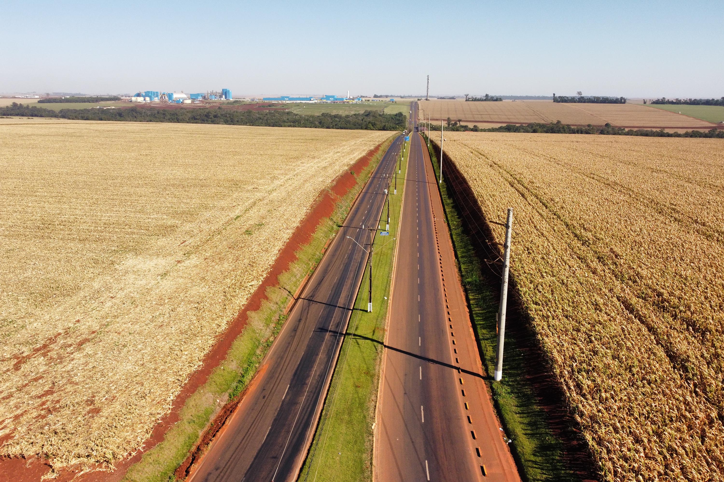 CONTORNO DE PALOTINA