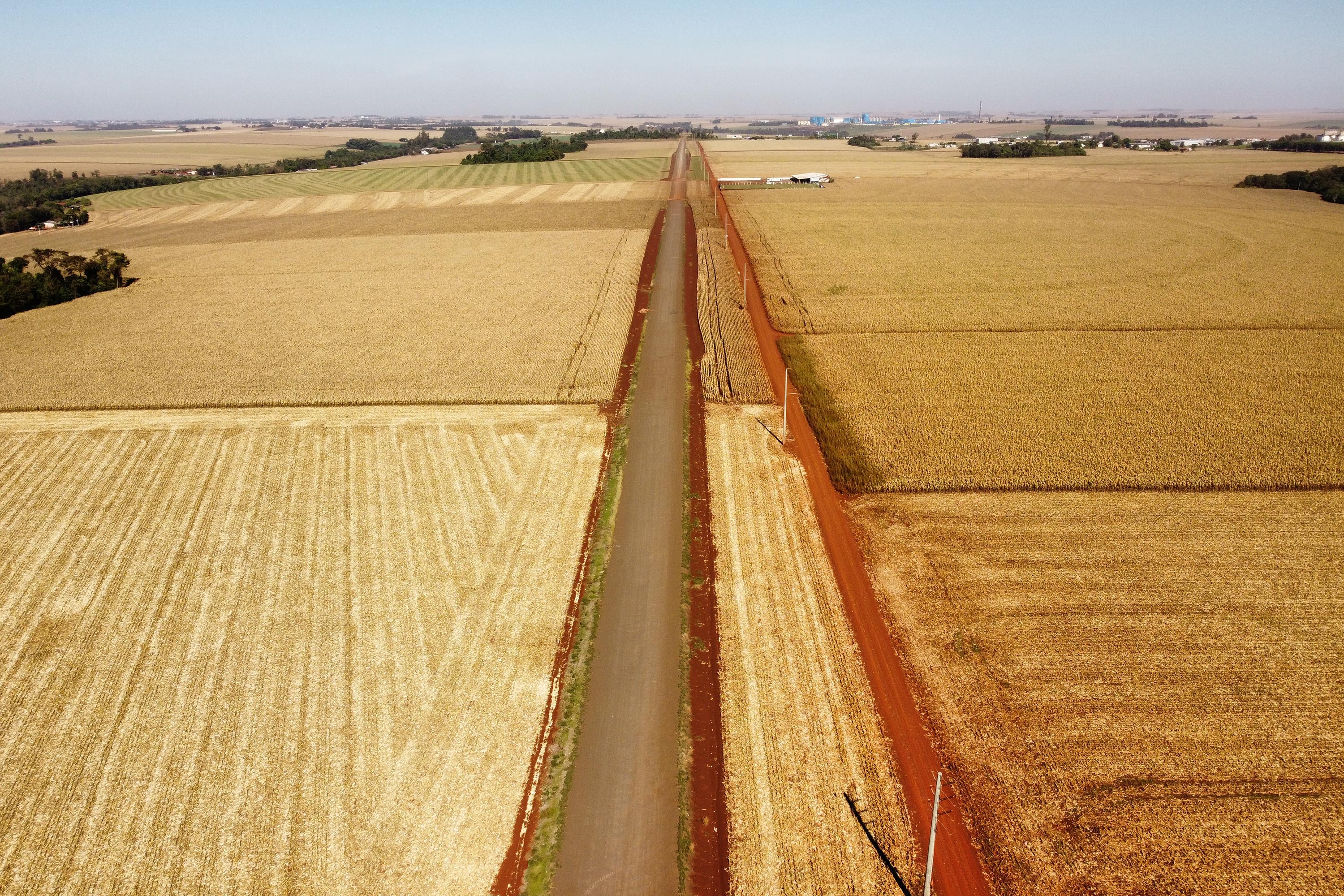 CONTORNO DE PALOTINA