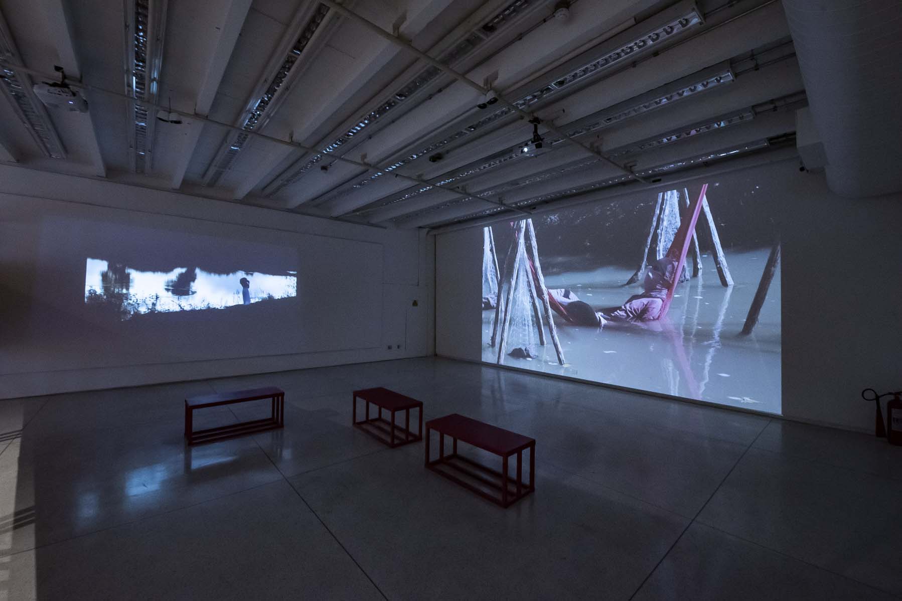 Novas exposições, Magal no Guairão e Festival de Audiovisualidades são os destaques da semana