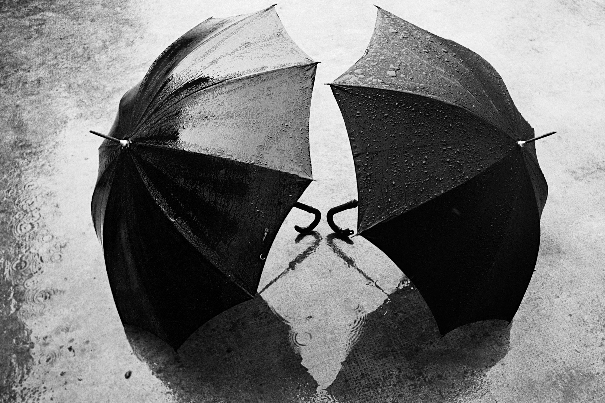 Novas exposições, Magal no Guairão e Festival de Audiovisualidades são os destaques da semana