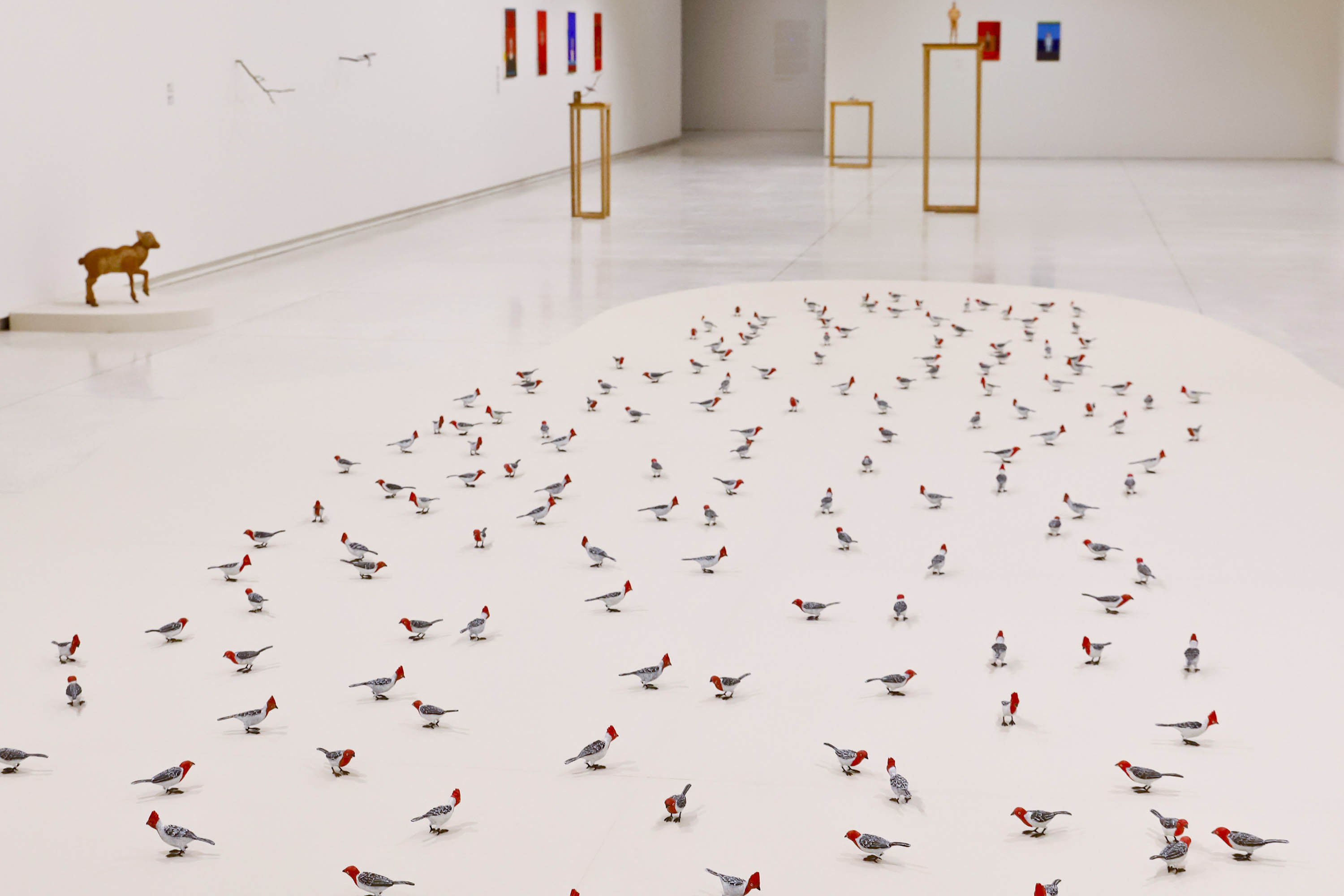 MON promove encontros para público 60+ sobre a mostra “O Jardim”