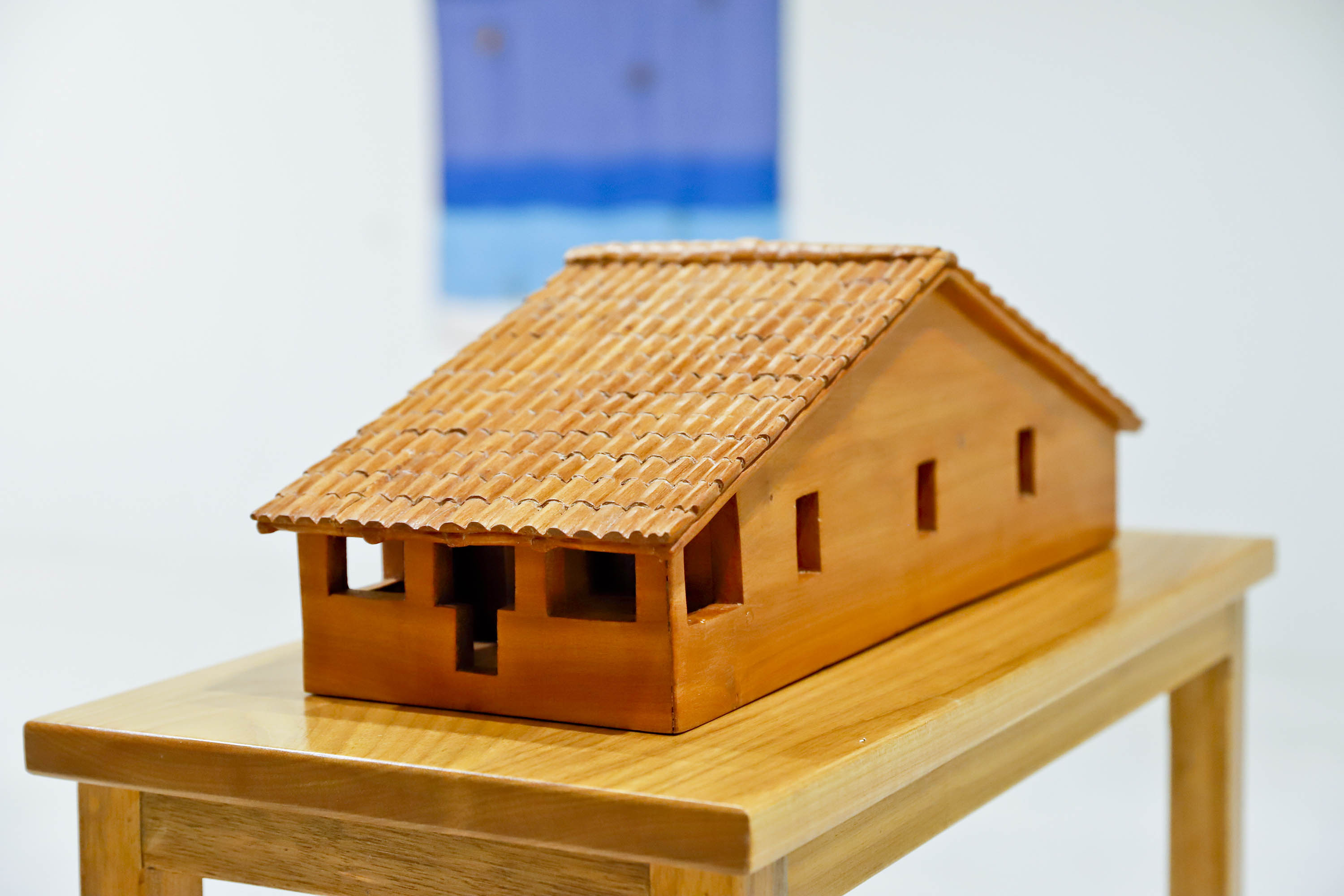 MON promove encontros para público 60+ sobre a mostra “O Jardim”