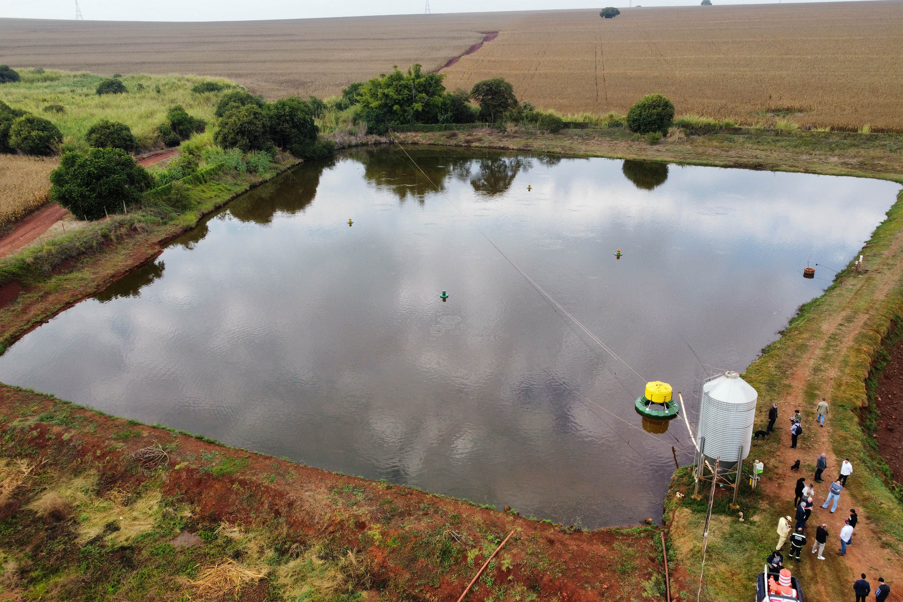 VICE PESCA DE TILÁPIA