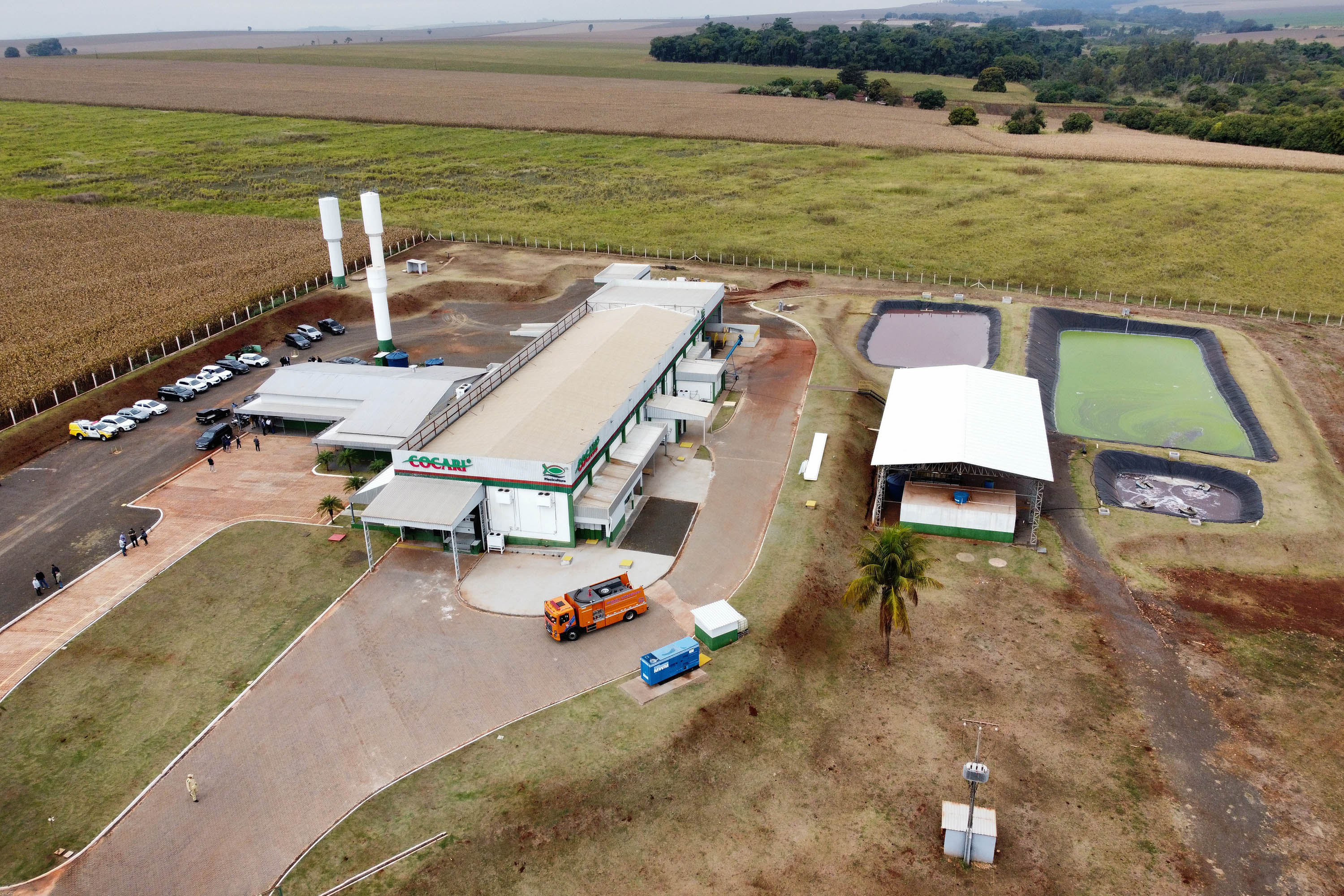 Com tilápia em alta, exportação paranaense de pescados cresceu 20% no 1º semestre de 2024