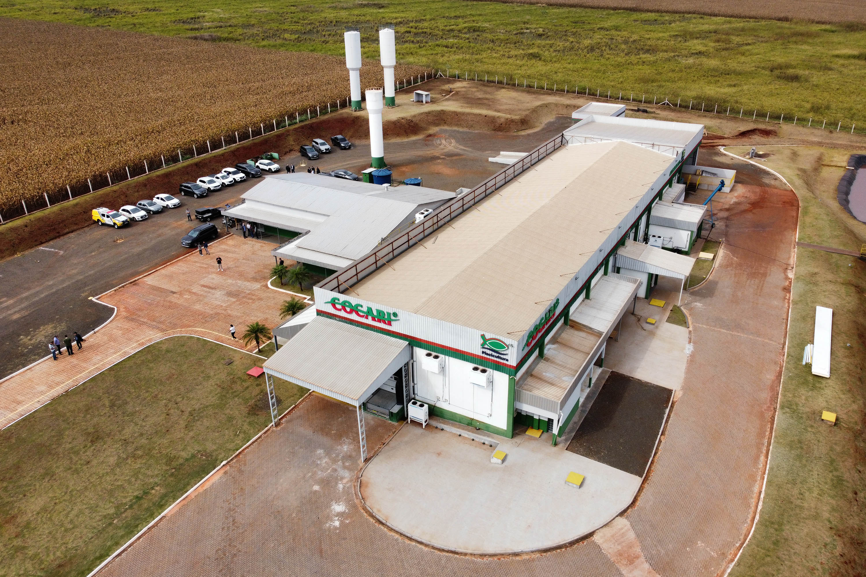 VICE PESCA DE TILÁPIA