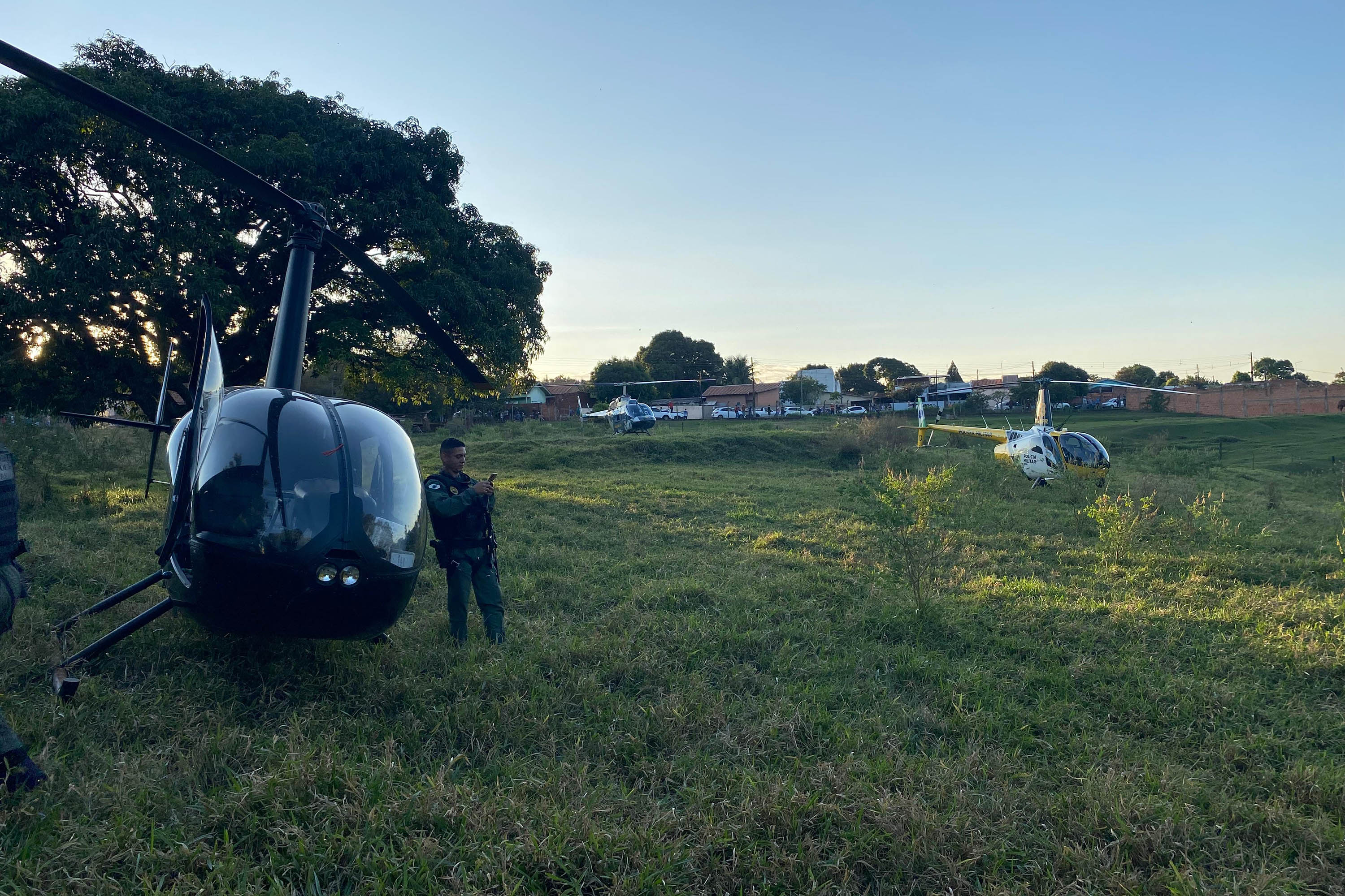 Combate ao tráfico: apreensões de maconha e cocaína crescem no 1º semestre de 2024