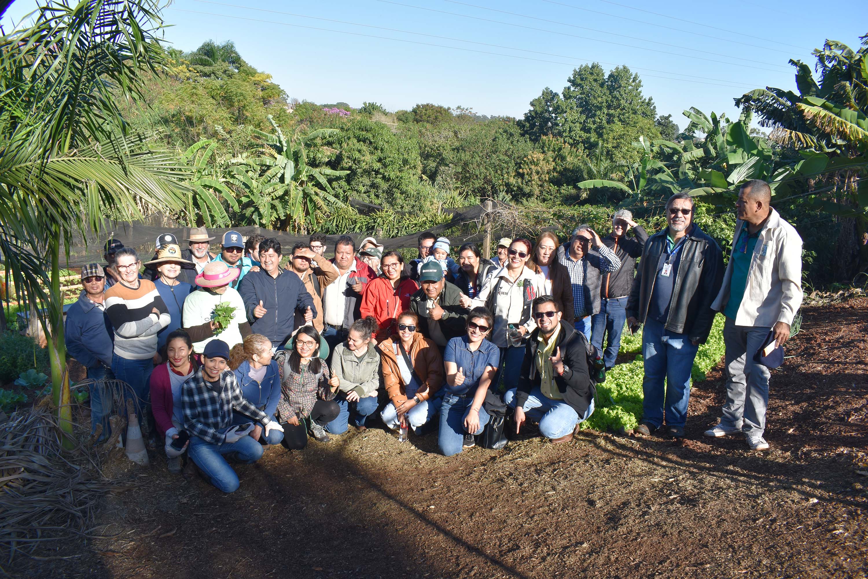 Horta comunitária do programa Cultivar Energia em Maringá recebe comitiva peruana
