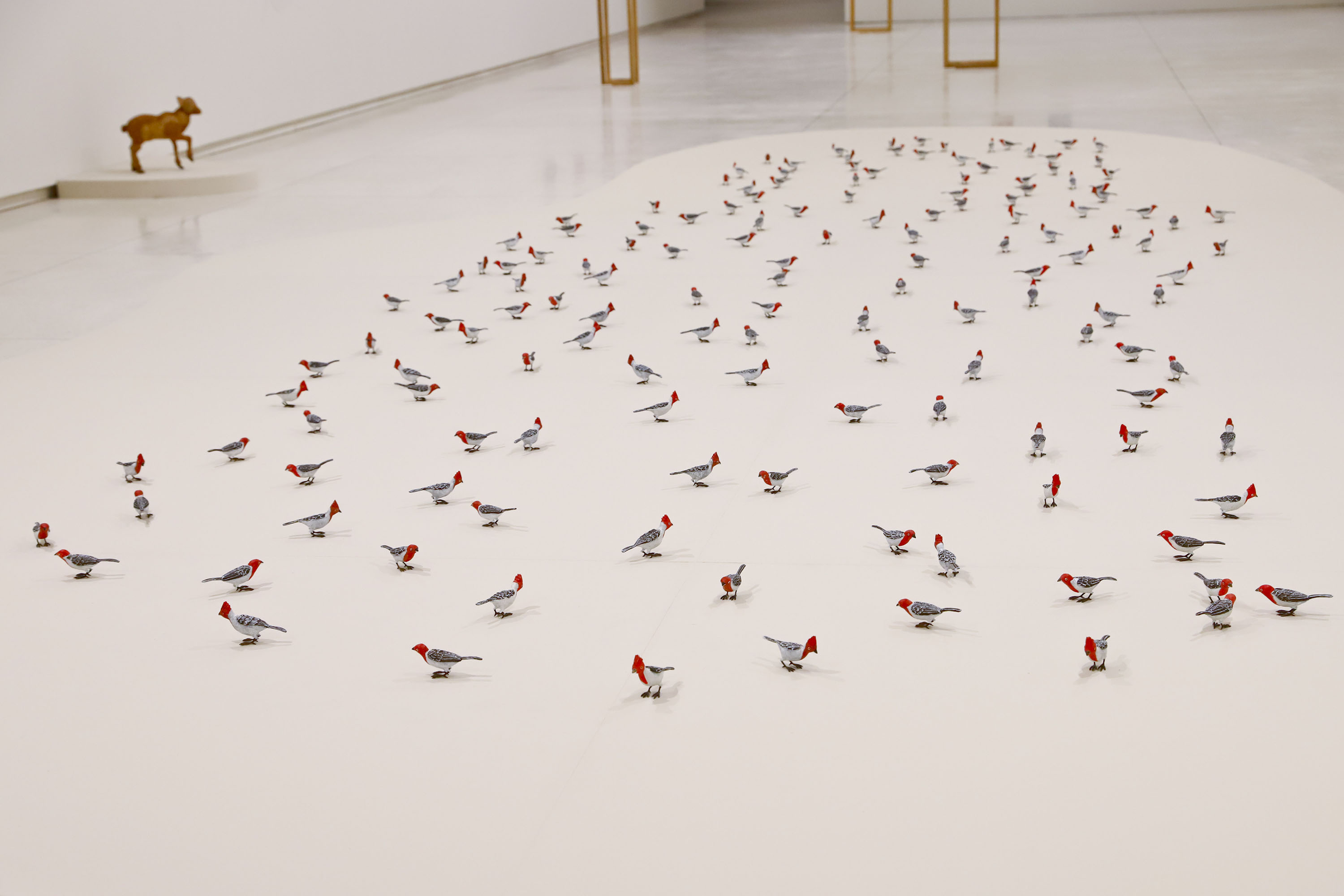 MON ENCONTRO EDUCADORES