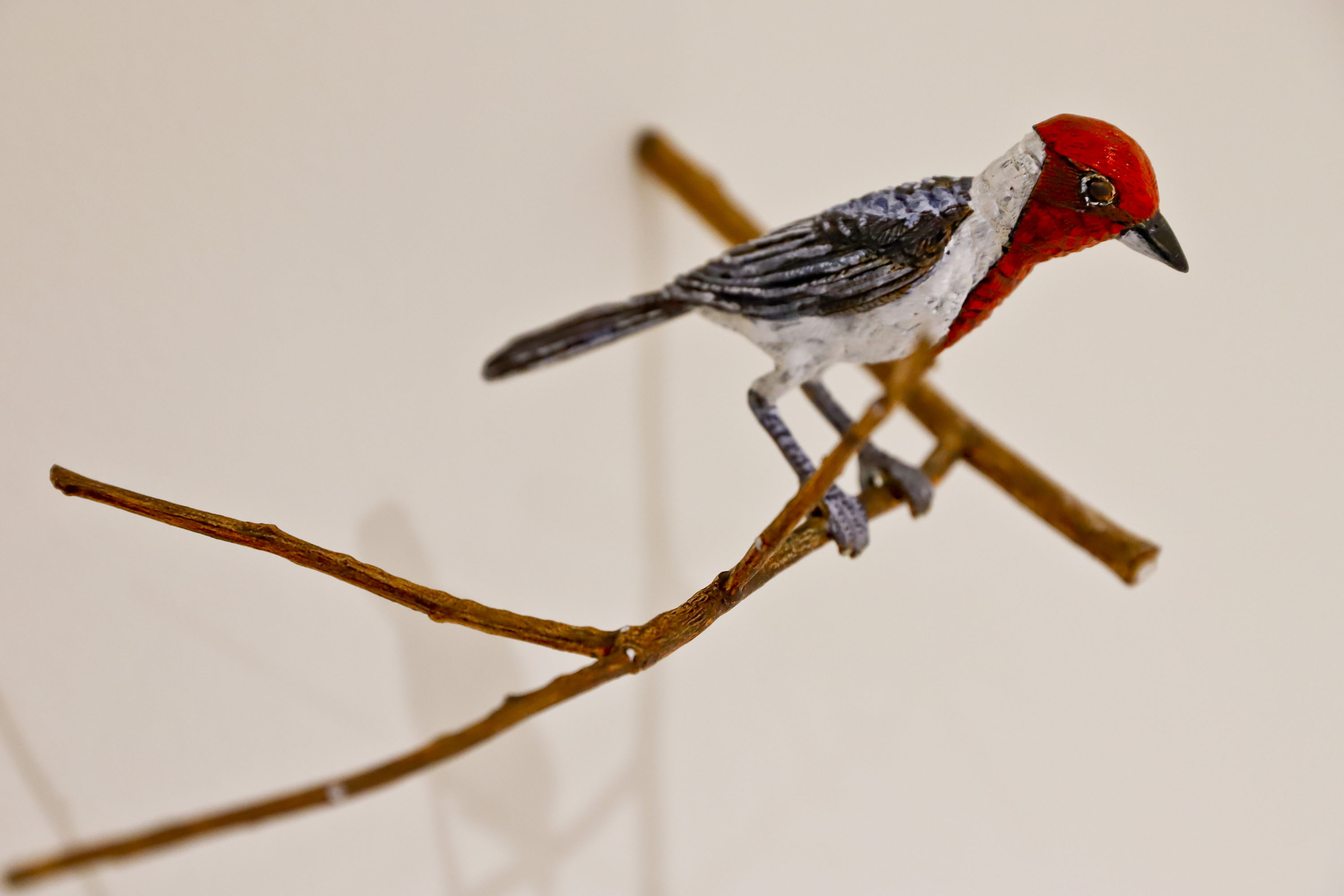 MON ENCONTRO EDUCADORES