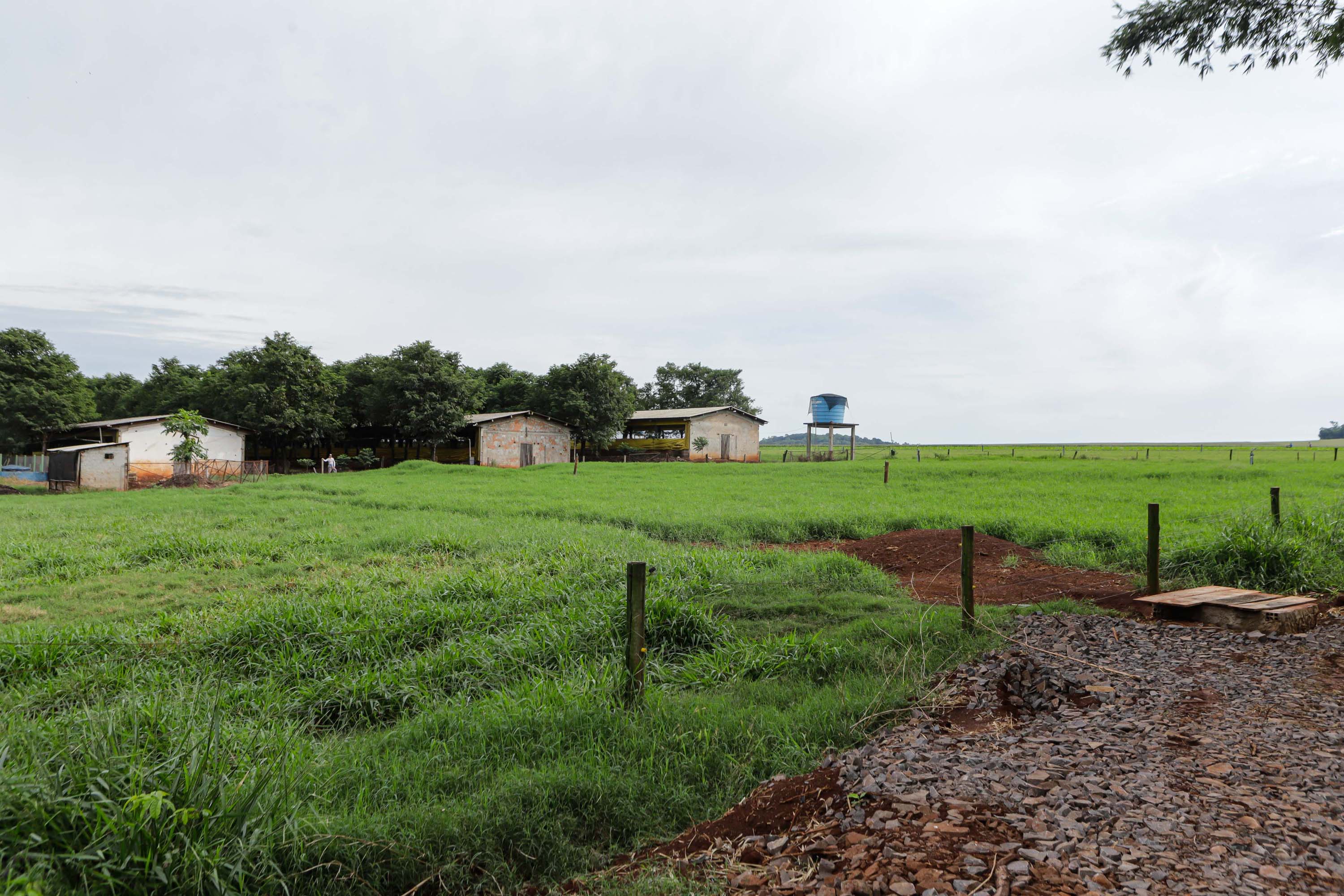 Vizinhos compartilham biodigestor para produzir energia limpa e manejar resíduos da suinocultura