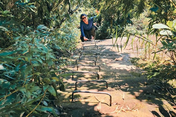 Na trilha certa, equipamentos de segurança e cuidados com a fauna e a flora: IAT elaborou um guia de bom comportamento para os usuários de parques estaduais.