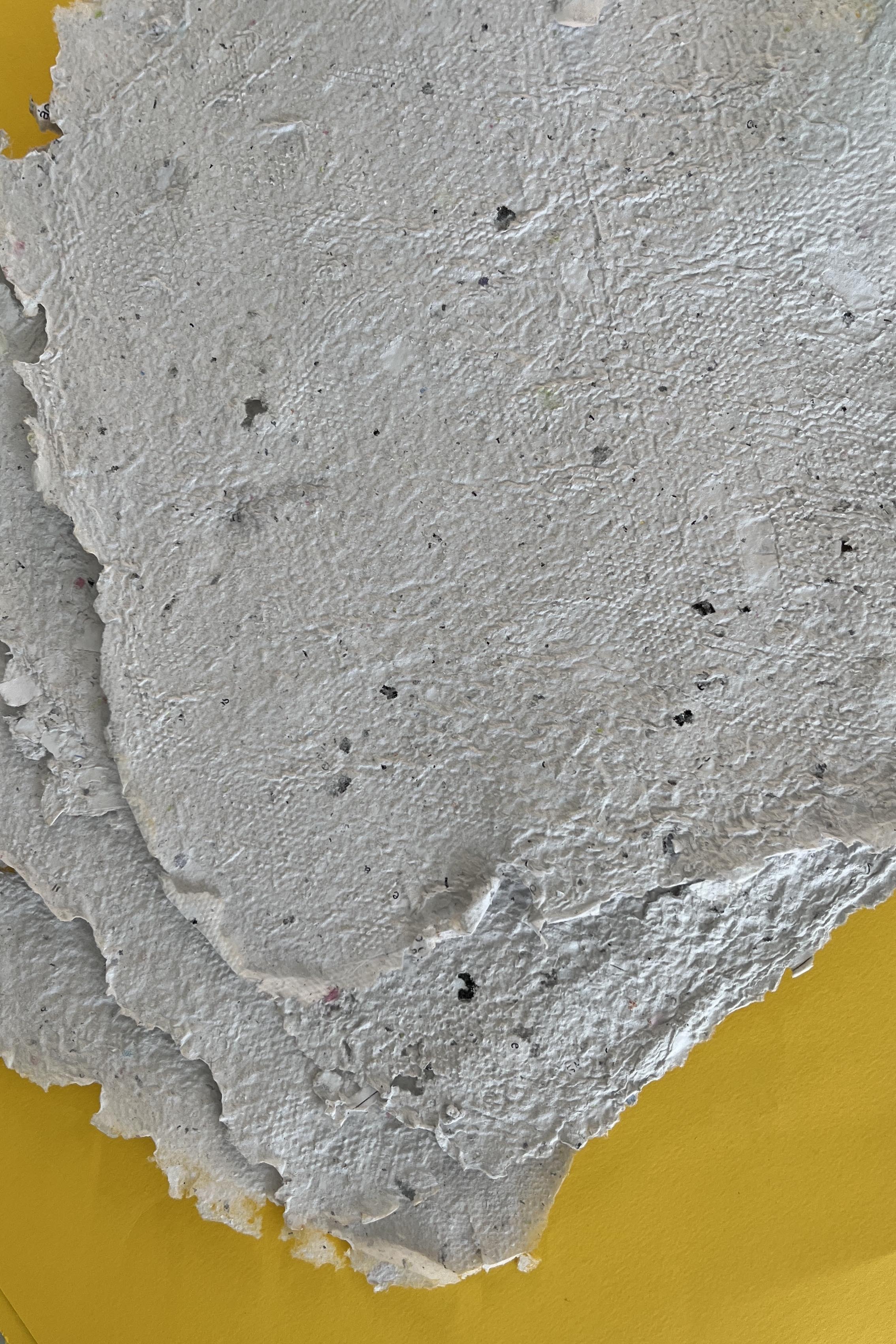 MON promove atividades educativas gratuitas no Mês das Crianças