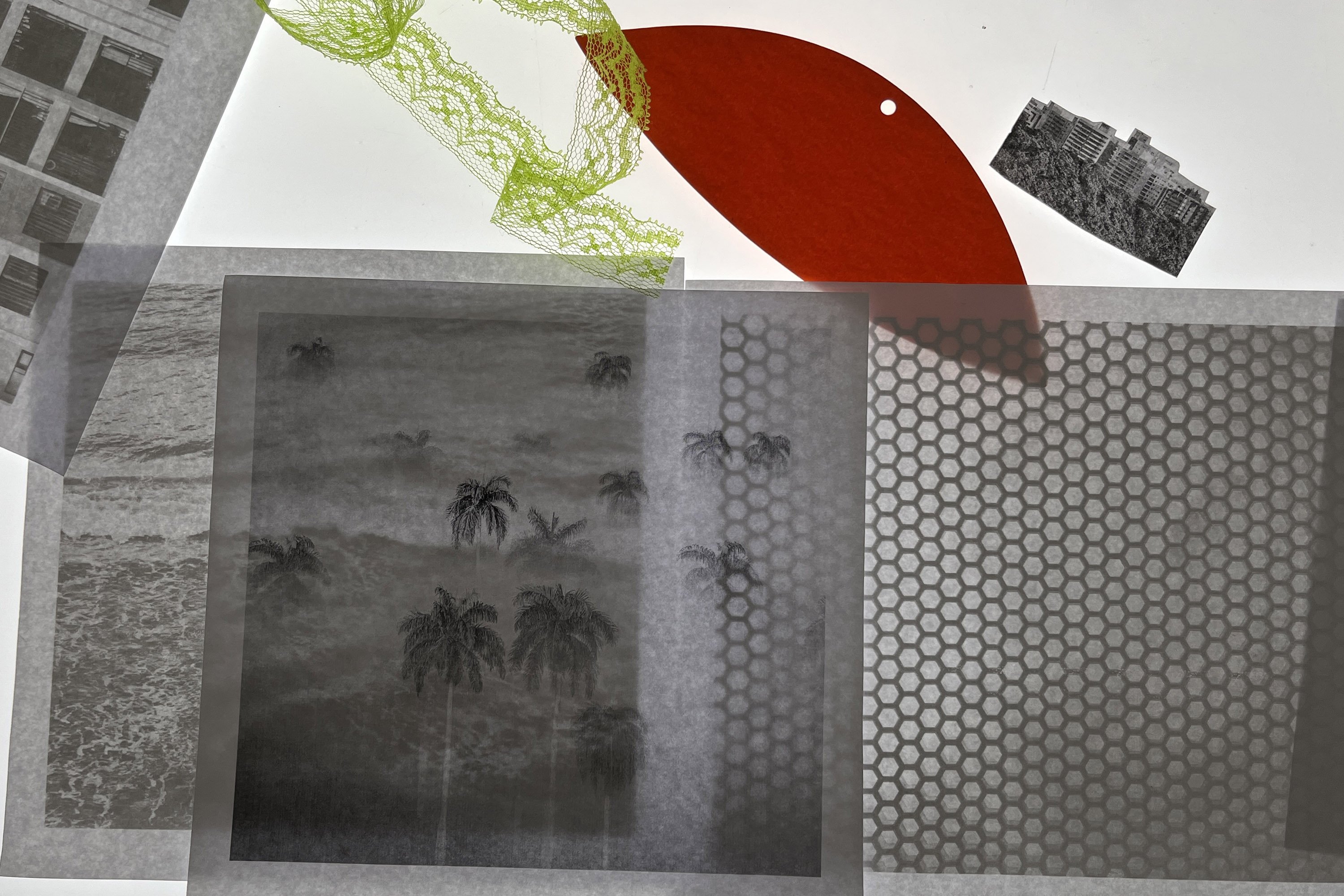 MON promove atividades educativas gratuitas no Mês das Crianças