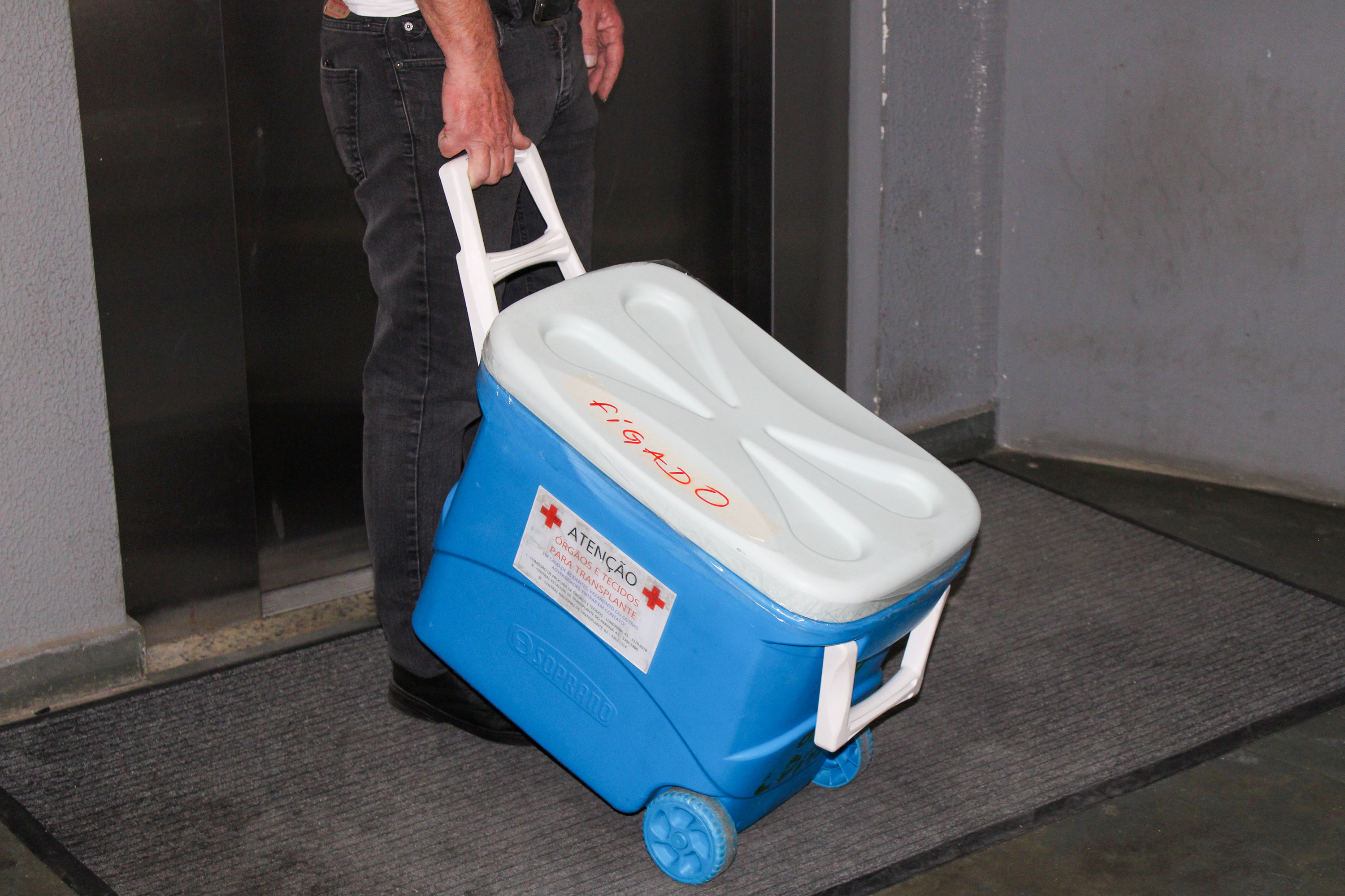 SESA Dia Nacional da Doação de Órgãos