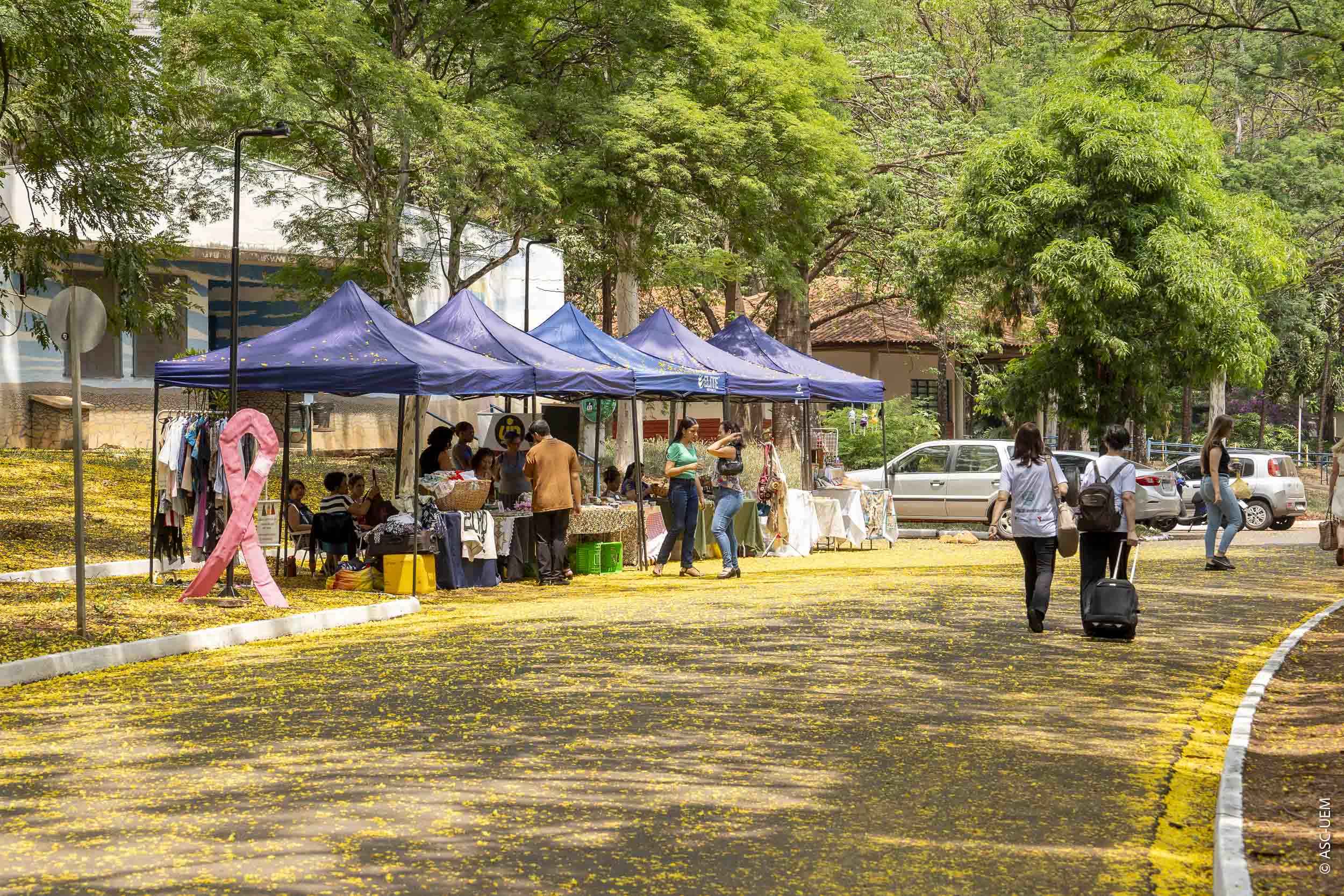 Pavilhão científico encanta visitantes e abre Paraná Faz Ciência na UEM