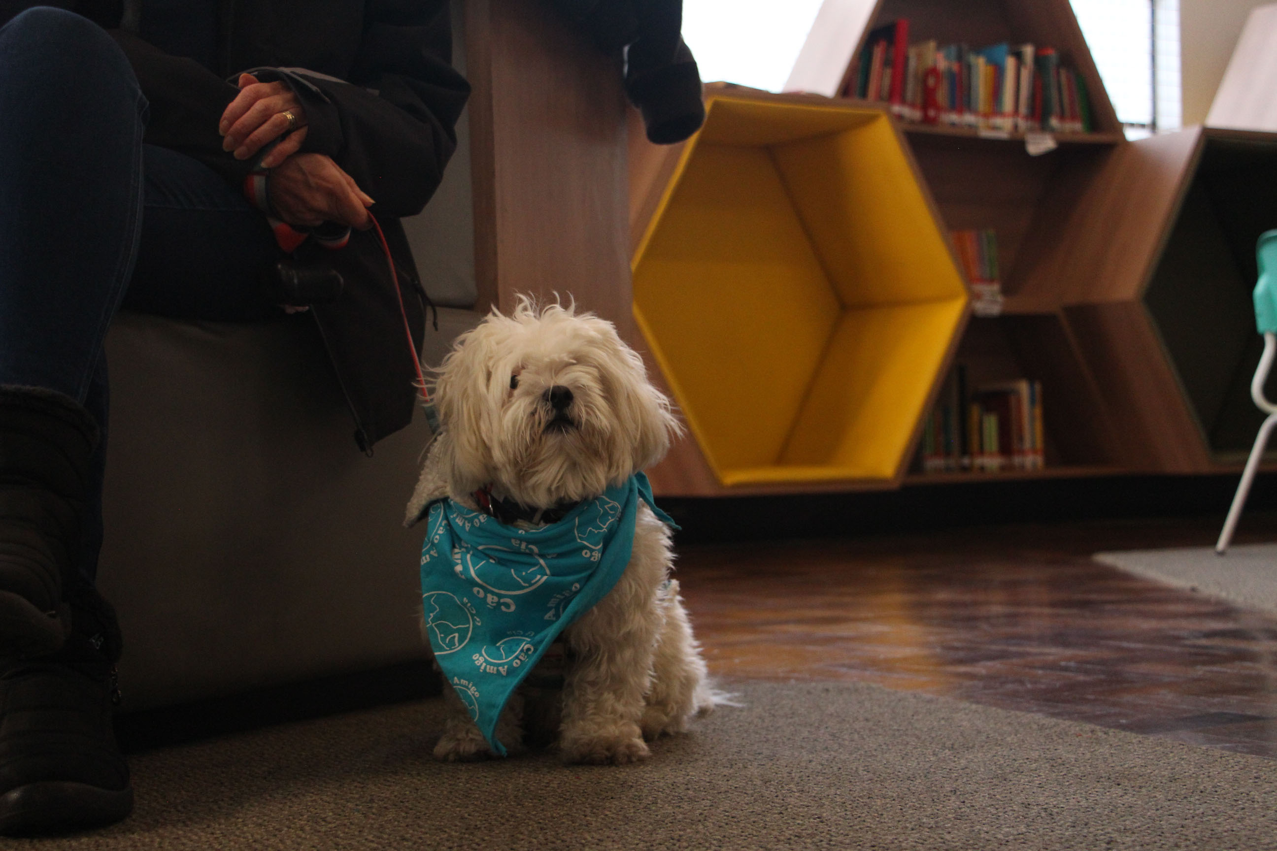 SEEC AGENDA CULTURAL